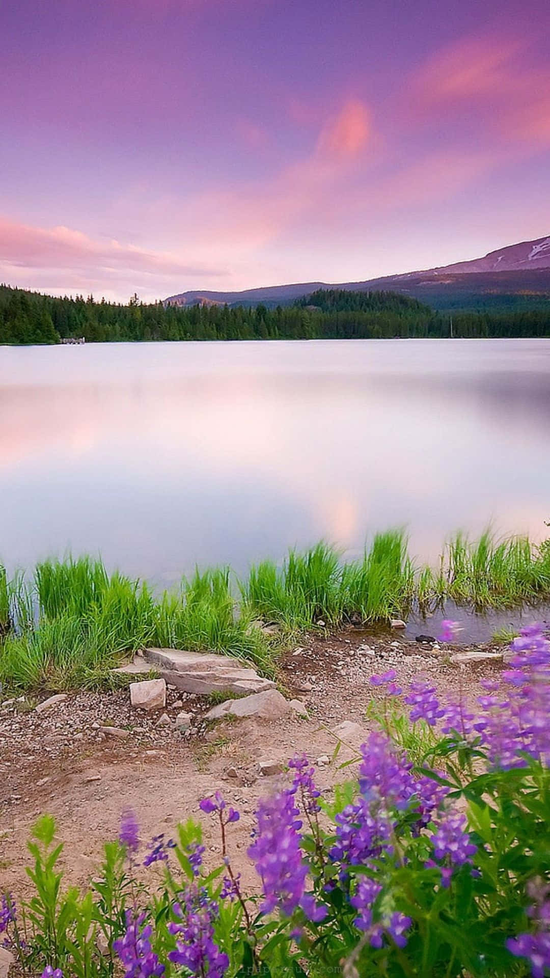 Fondo Natural de Lago al Atardecer Púrpura Fondos de pantalla