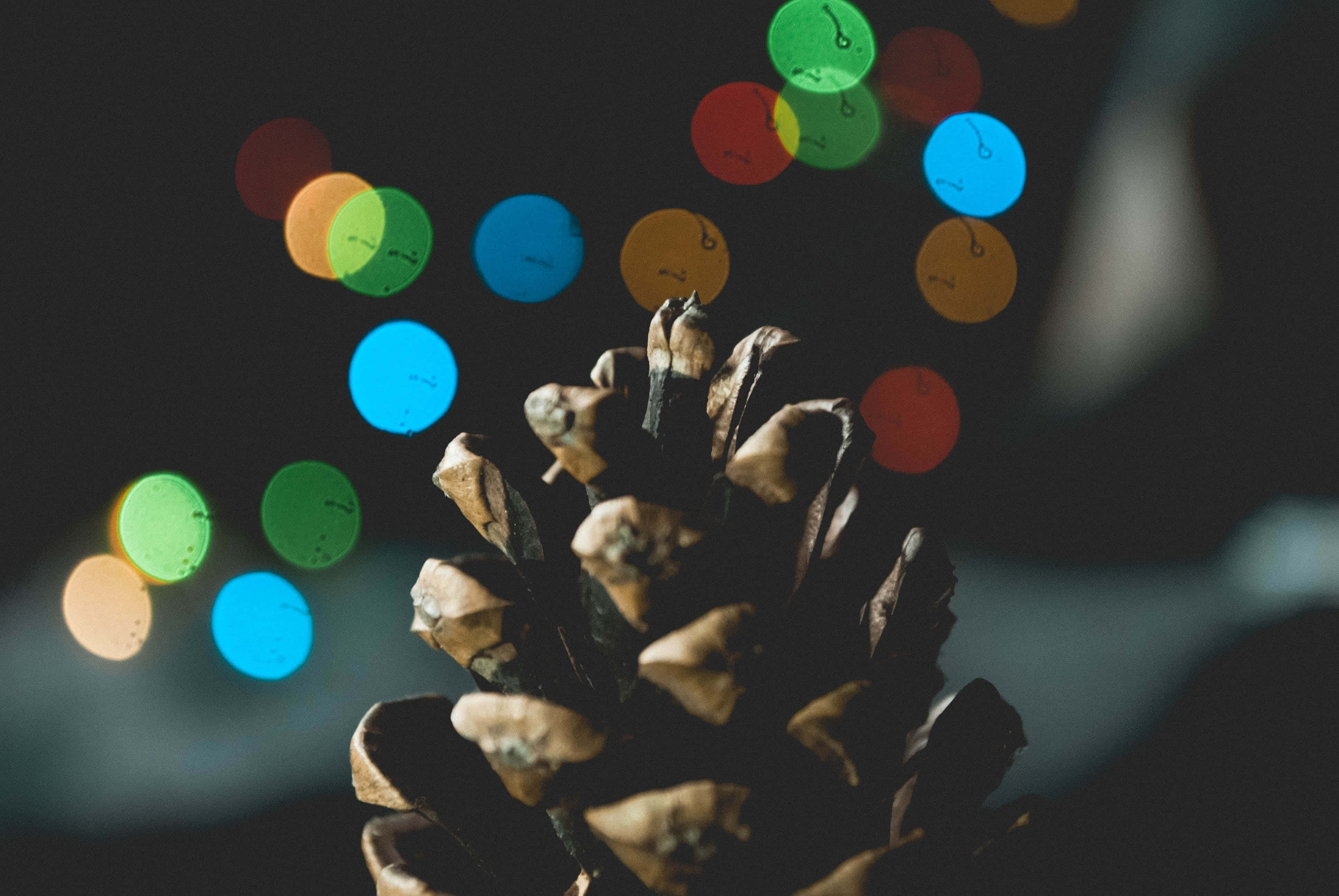 Fondo Navideño de Primer Plano de Piña Fondos de pantalla
