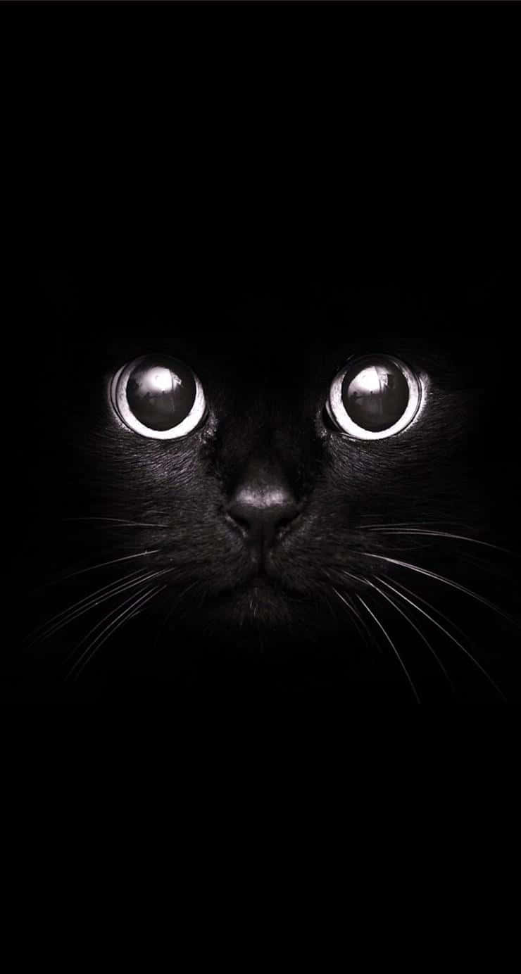 Fondo Negro Lindo Fondos de pantalla