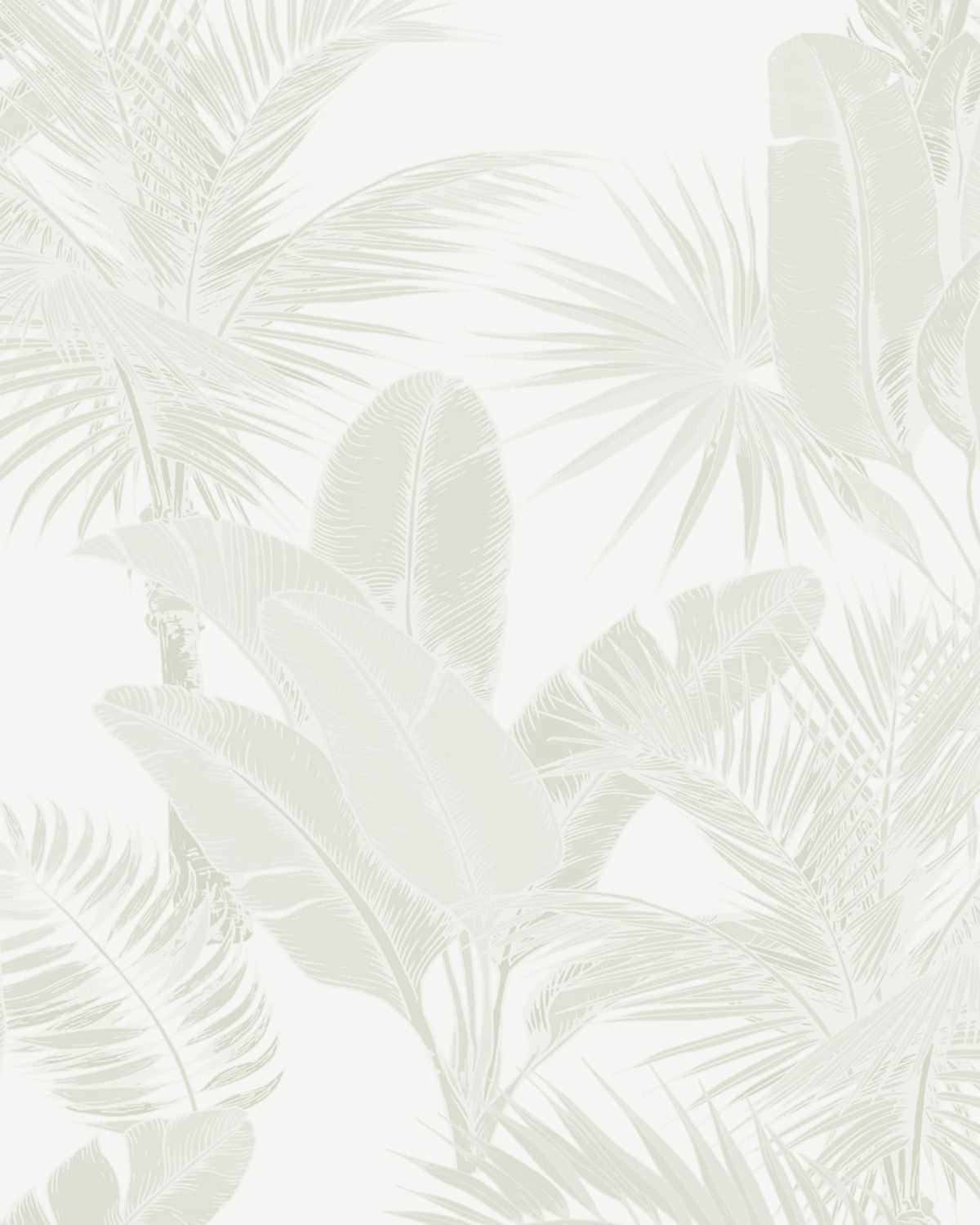 Fondo neutro Fondos de pantalla