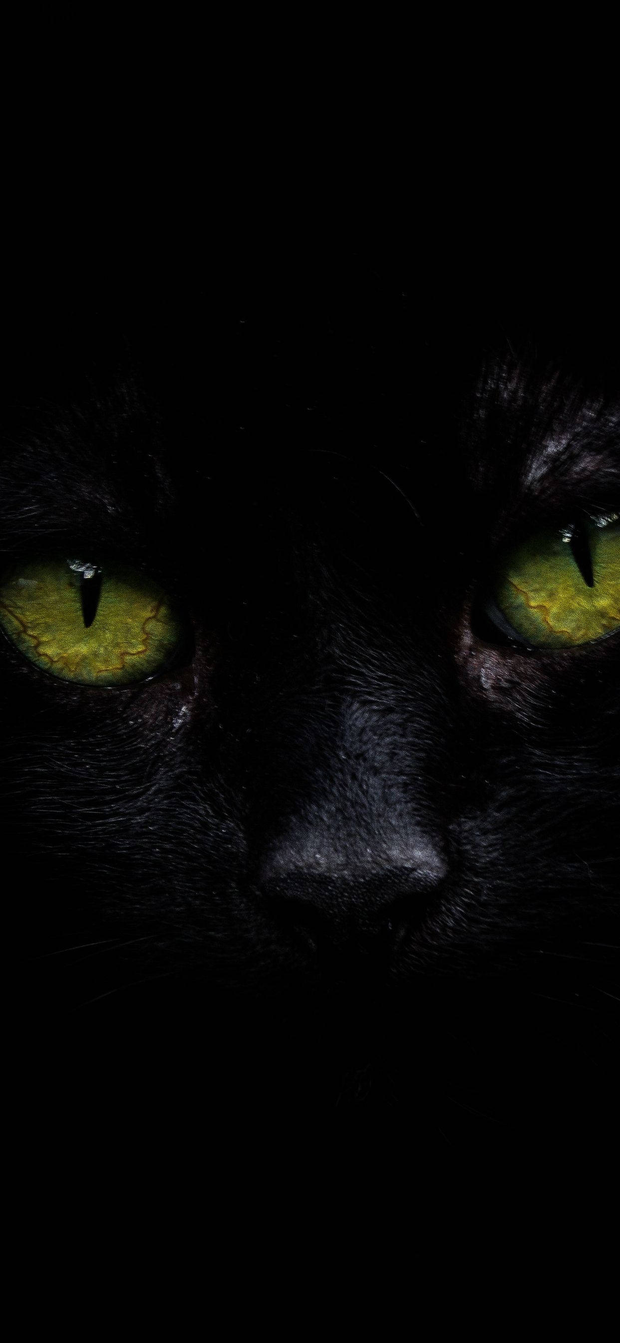 Fondo para iPhone XS Max OLED Gato Negro Fondos de pantalla