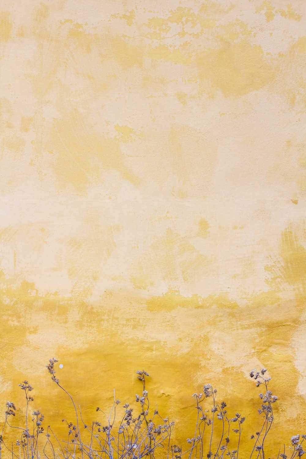 Fondo Pastel Amarillo Desvanecido Fondos de pantalla