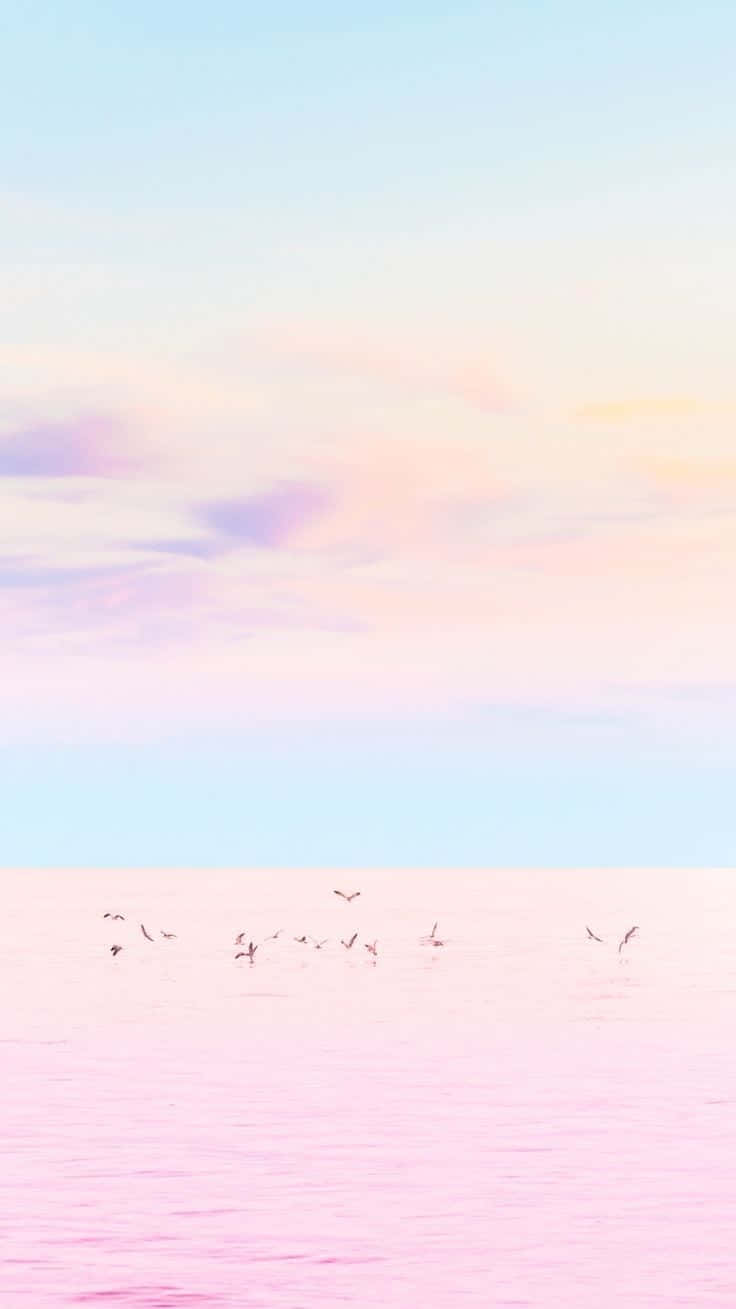 Fondo pastel de mar rosa con aves Fondos de pantalla