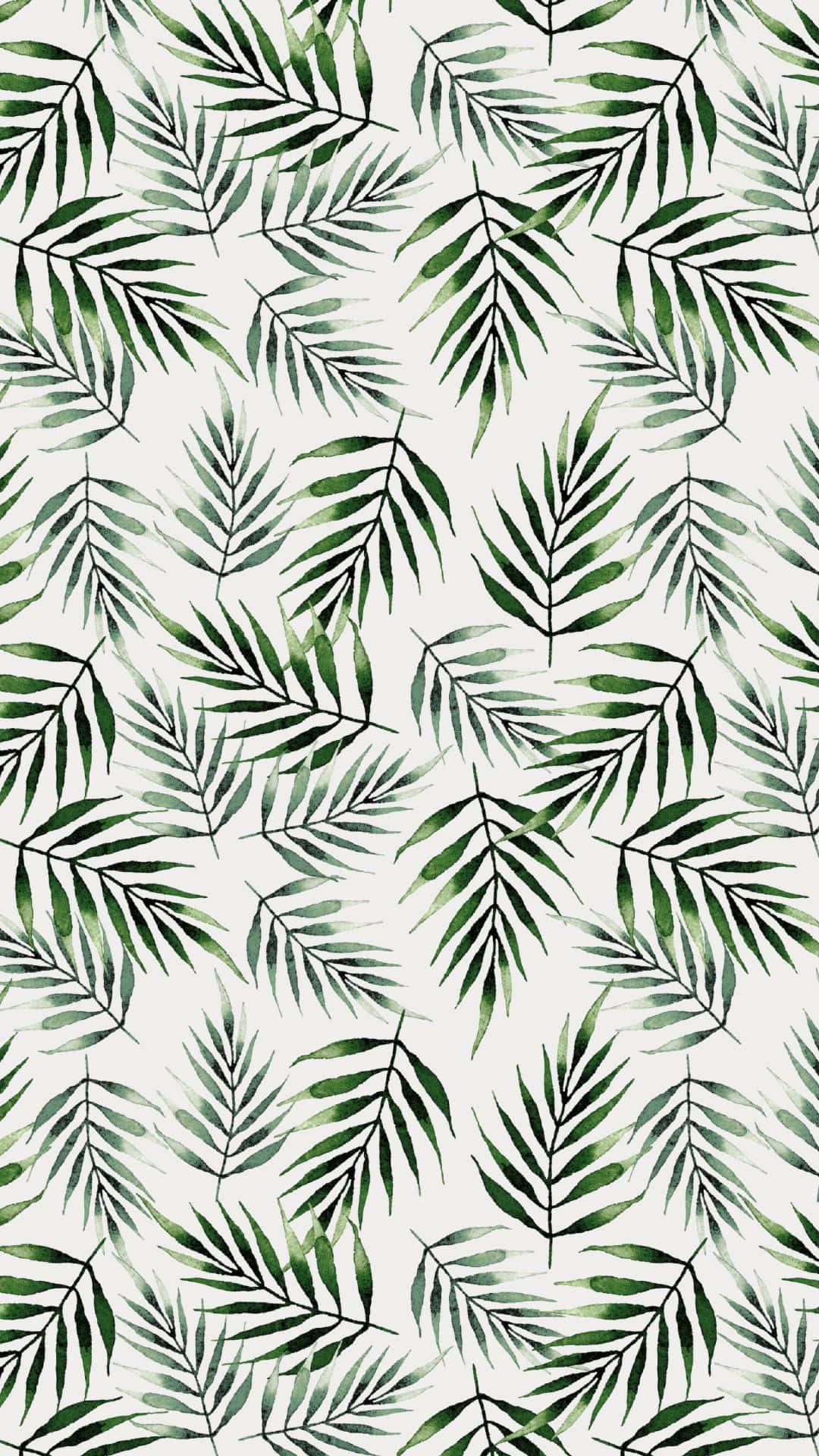 Fondo Patrón Aesthetic VSCO de Hojas Verdes Fondos de pantalla