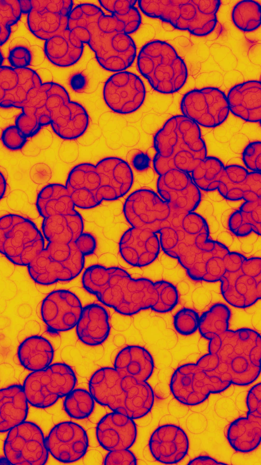 Fondo Patrón VSCO Estético de Glóbulos Rojos Fondos de pantalla