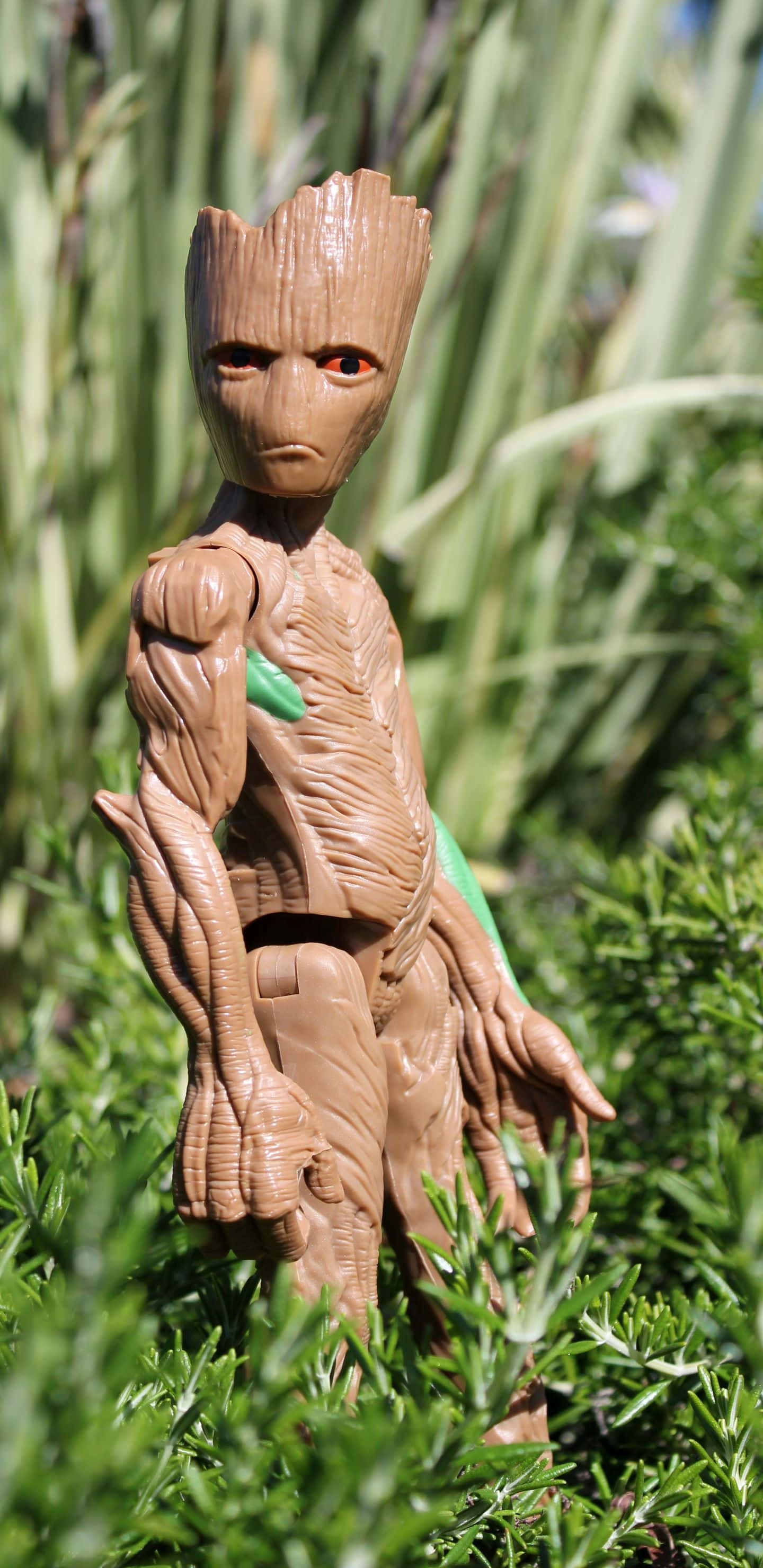 Fondo Pixel 3XL Marvel de Groot de juguete en el jardín Fondos de pantalla