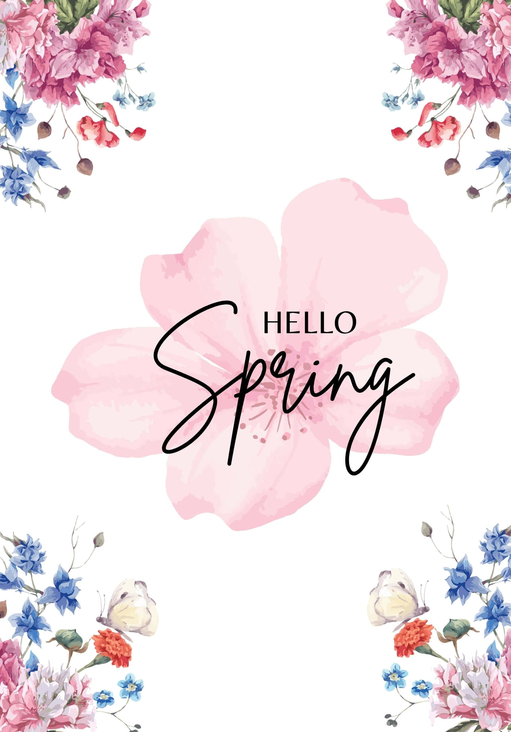 Fondo Primaveral Minimalista Hola Mejor Primavera Fondos de pantalla