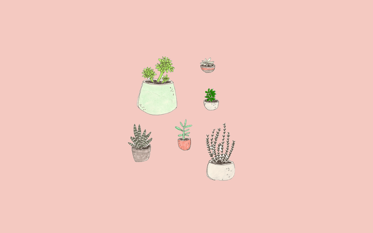 fondo rosa con muchas plantas en macetas Fondos de pantalla