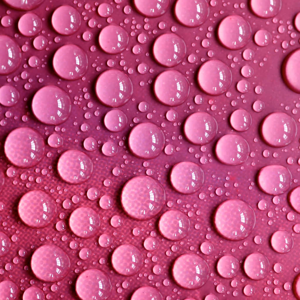 Fondo Rosa Encantador con Estética Suave Fondos de pantalla