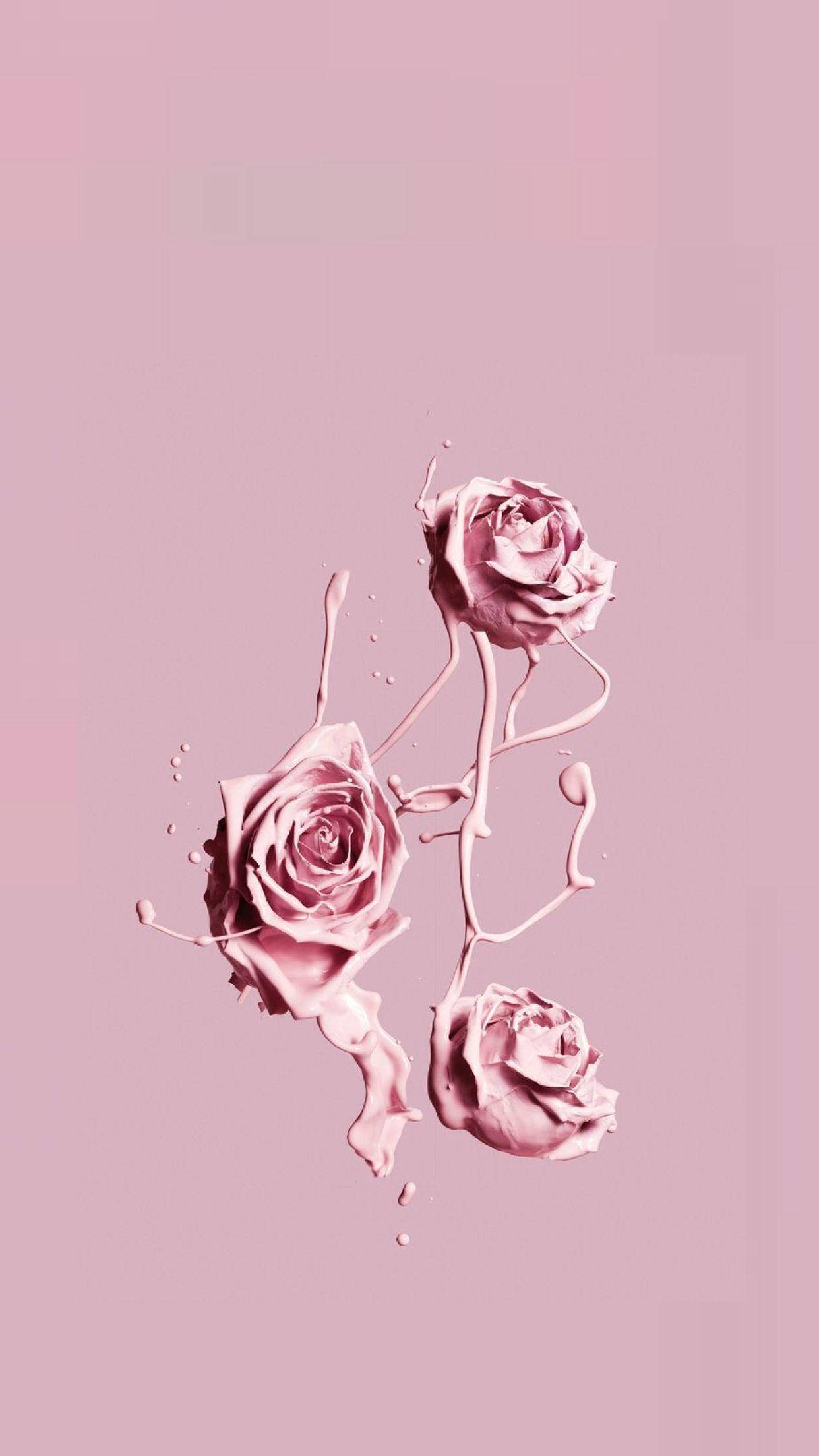 Fondo rosa estético de pintura de rosas para iPhone Fondos de pantalla