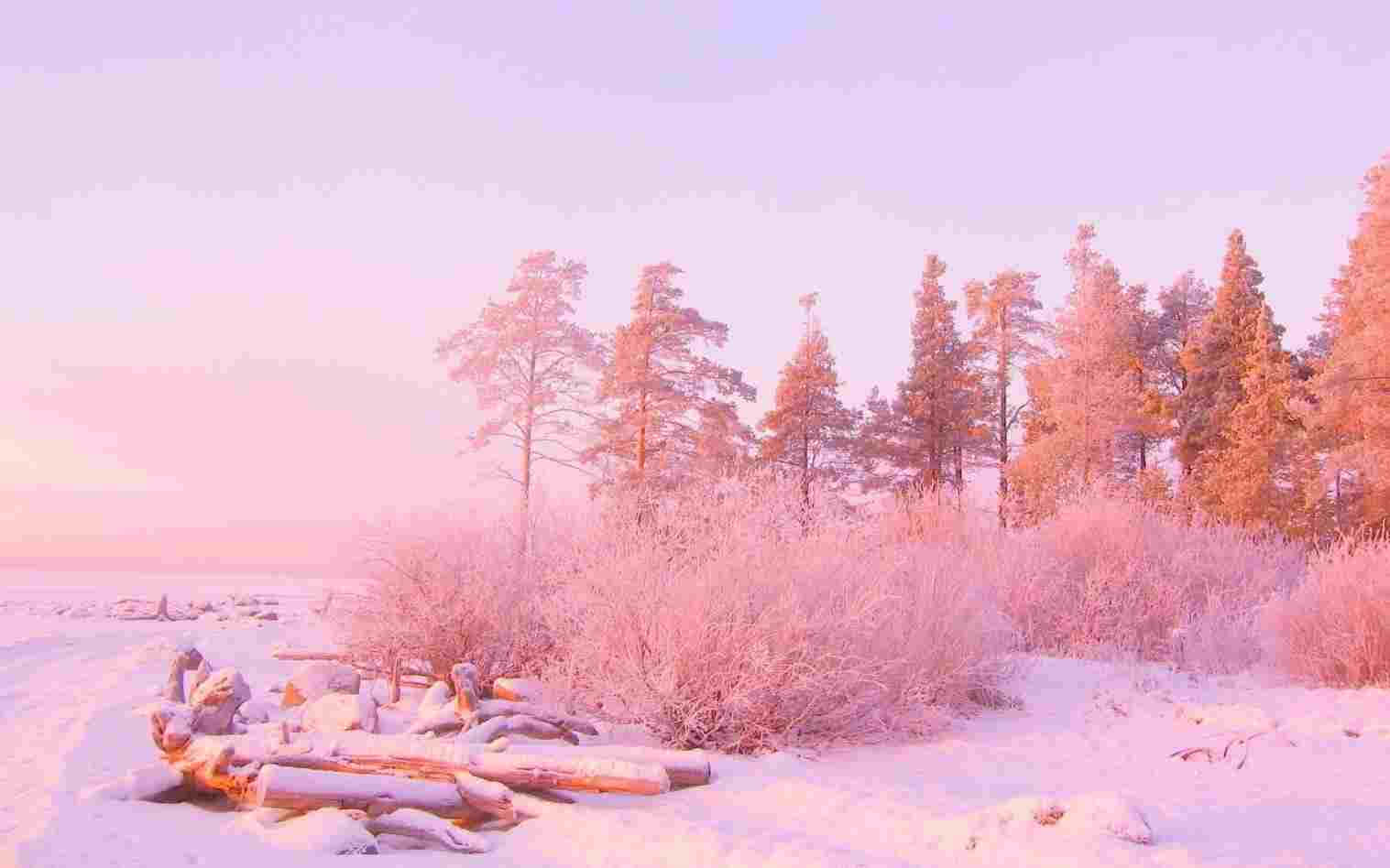 Fondo Rosa Pastel Fondos de pantalla