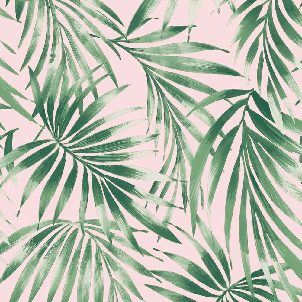 Fondo Rosa y Verde con Hojas Brillantes Fondos de pantalla