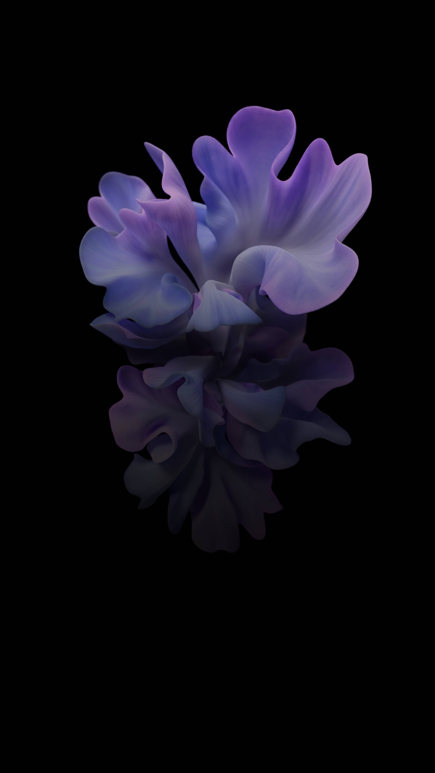 Fondo Samsung Galaxy Z Flip Floral Púrpura Fondos de pantalla