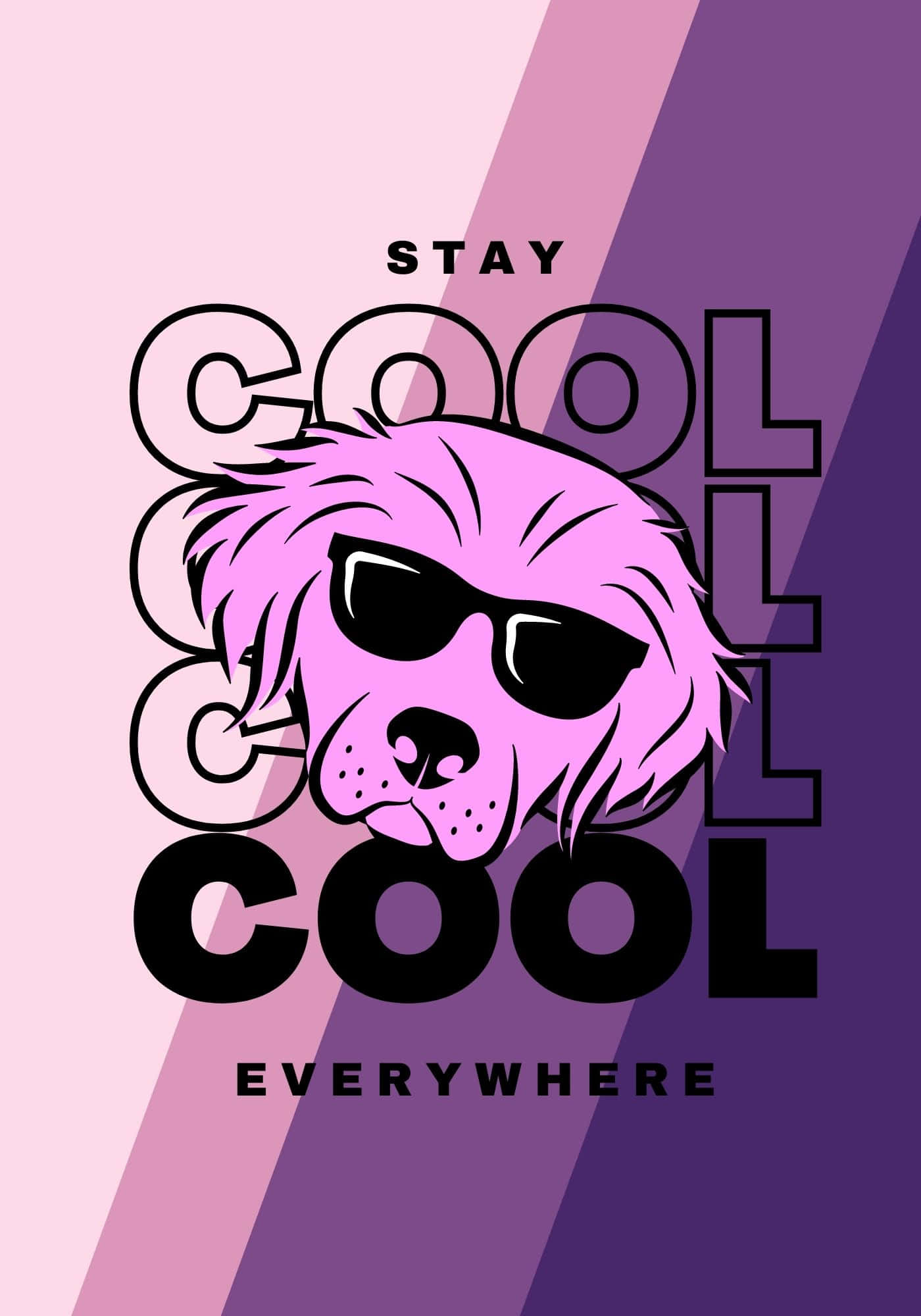 Fondo Stay Cool Everywhere de Perro Fondos de pantalla