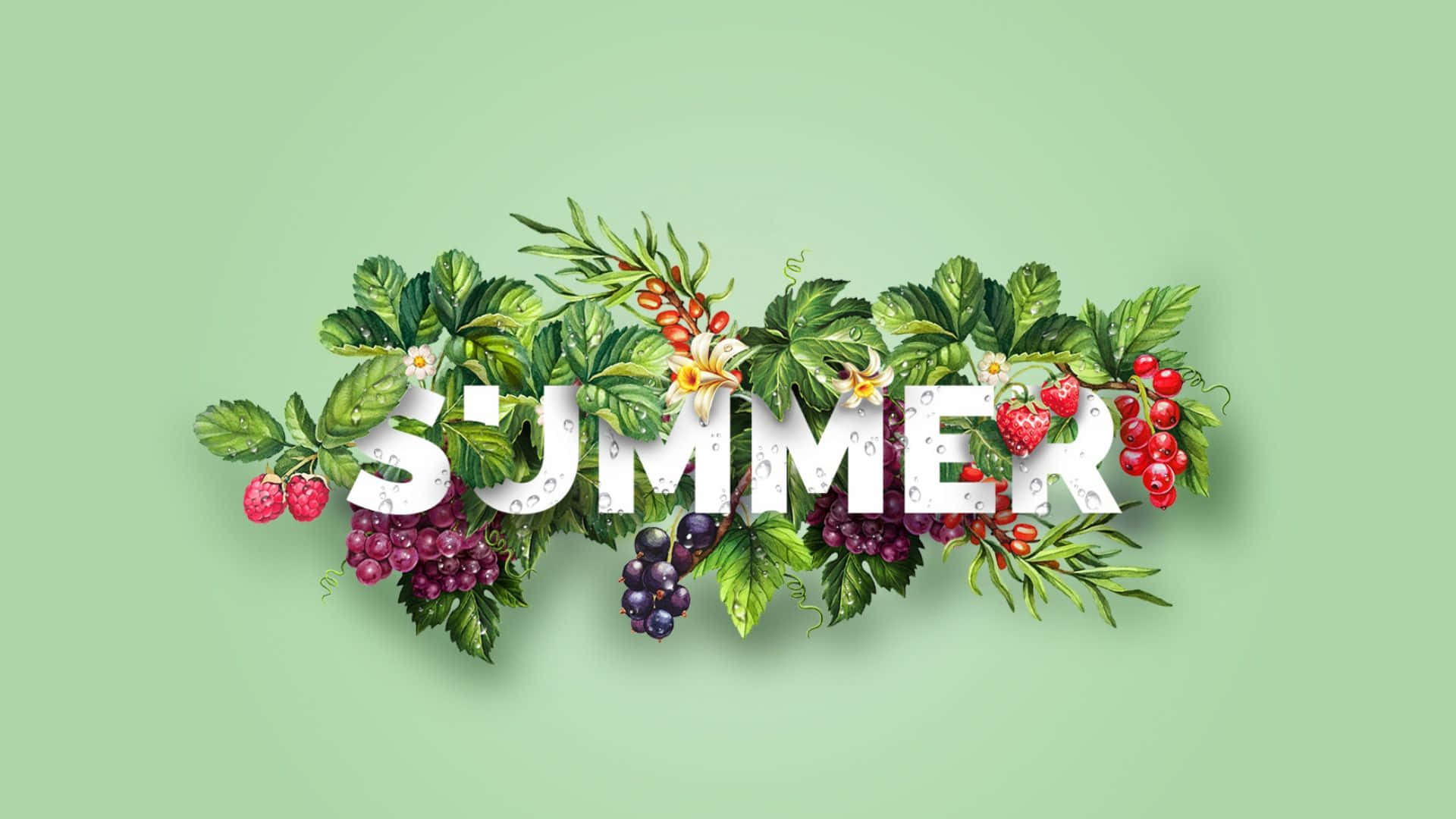 Fondo verde estético de verano 1920x1080 Fondos de pantalla