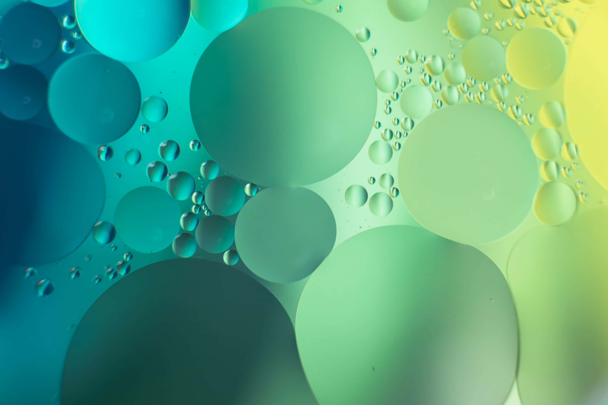 Fondo verde estético con círculos abstractos degradados Fondos de pantalla
