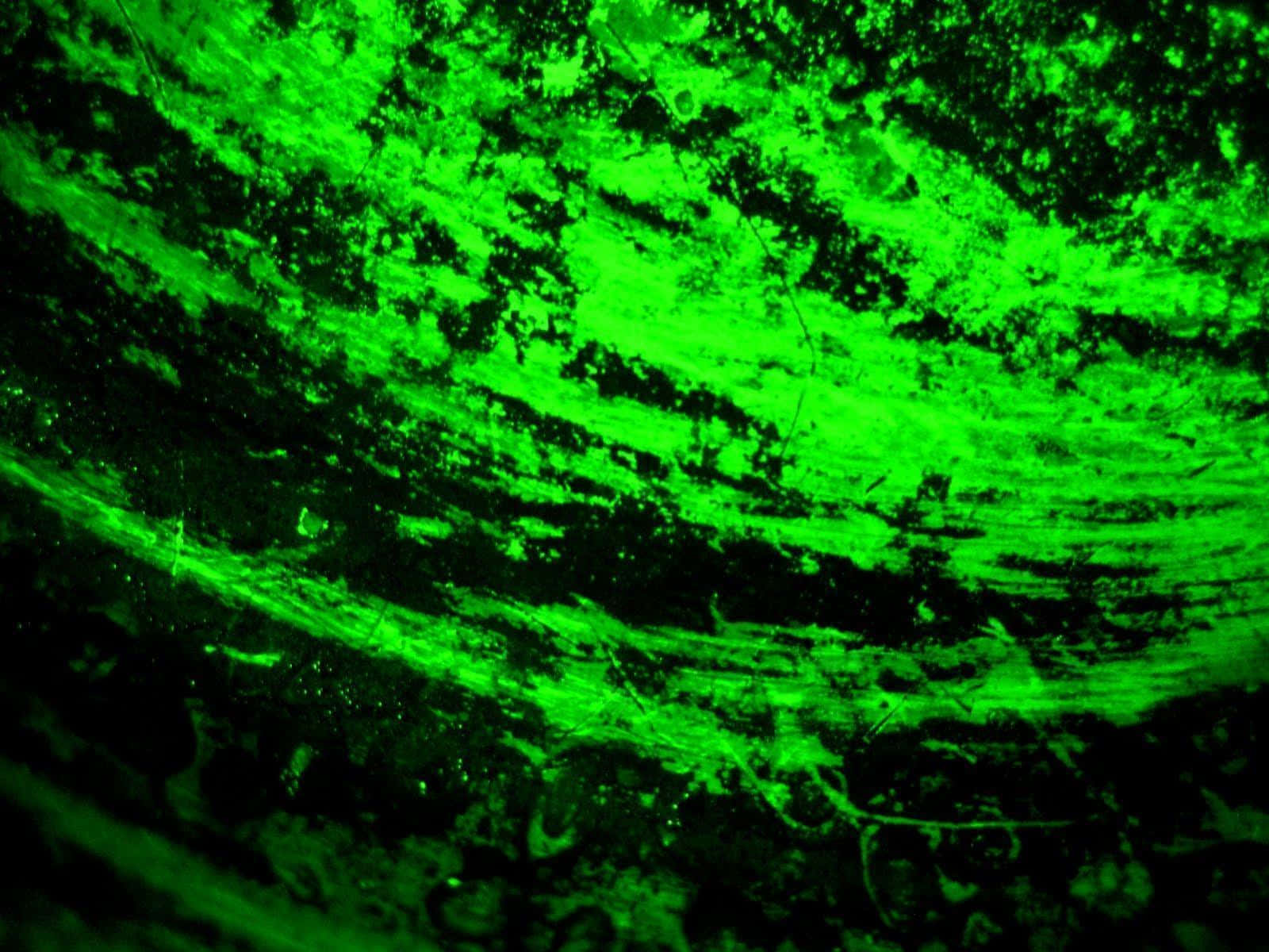 Fondo Verde Neón Fondos de pantalla