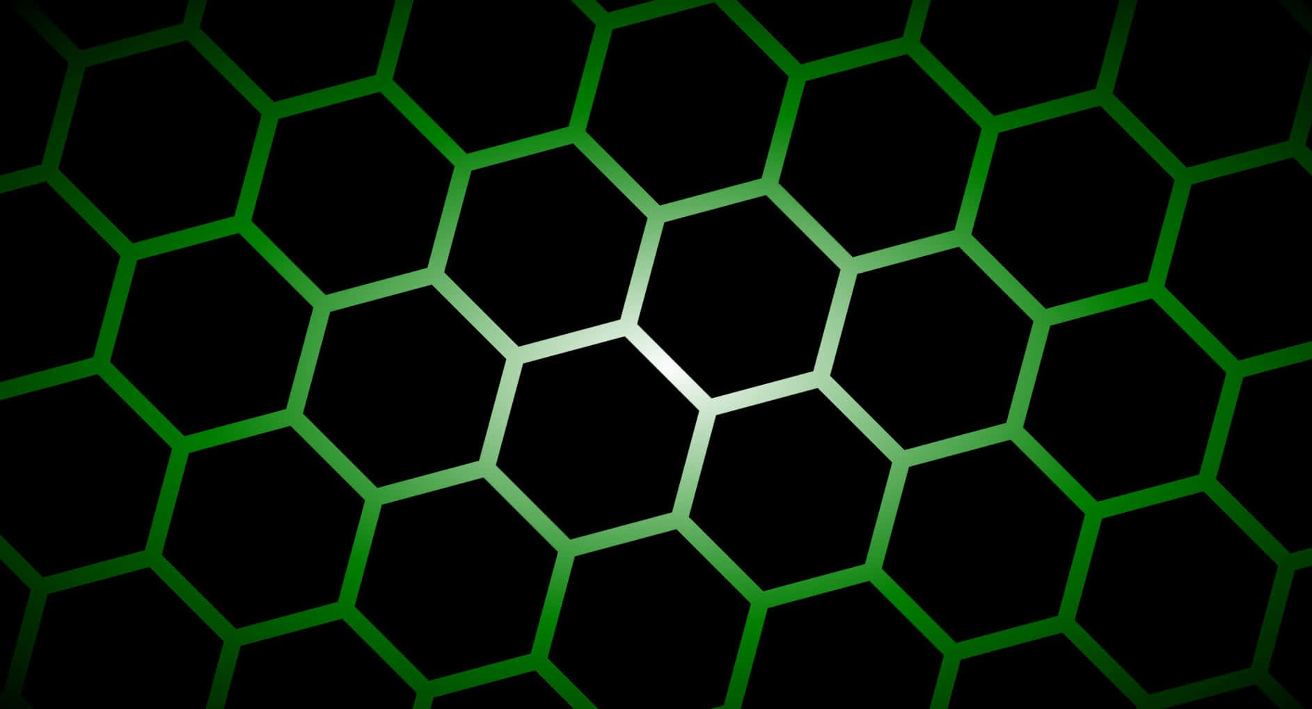 Fondo verde oscuro Fondos de pantalla