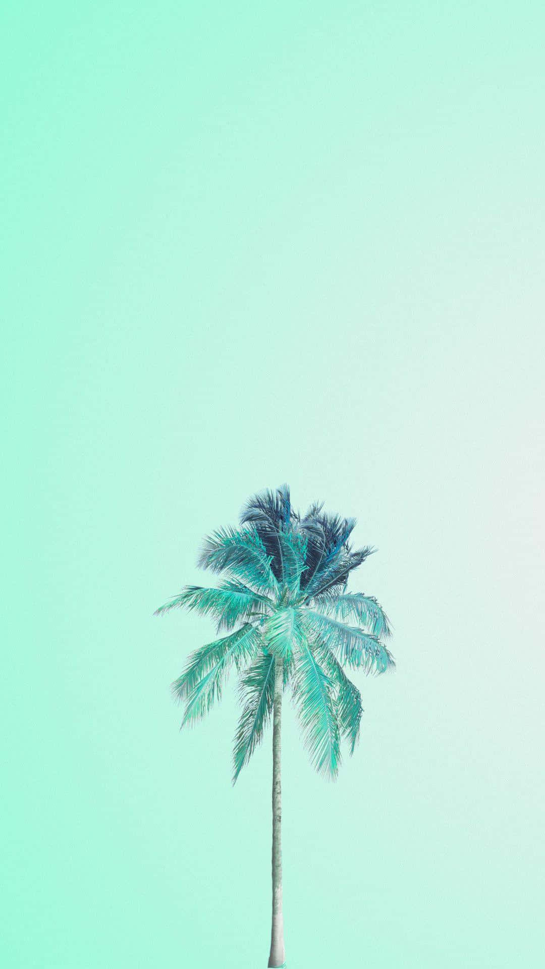 Fondo verde pastel con cocotero Fondos de pantalla