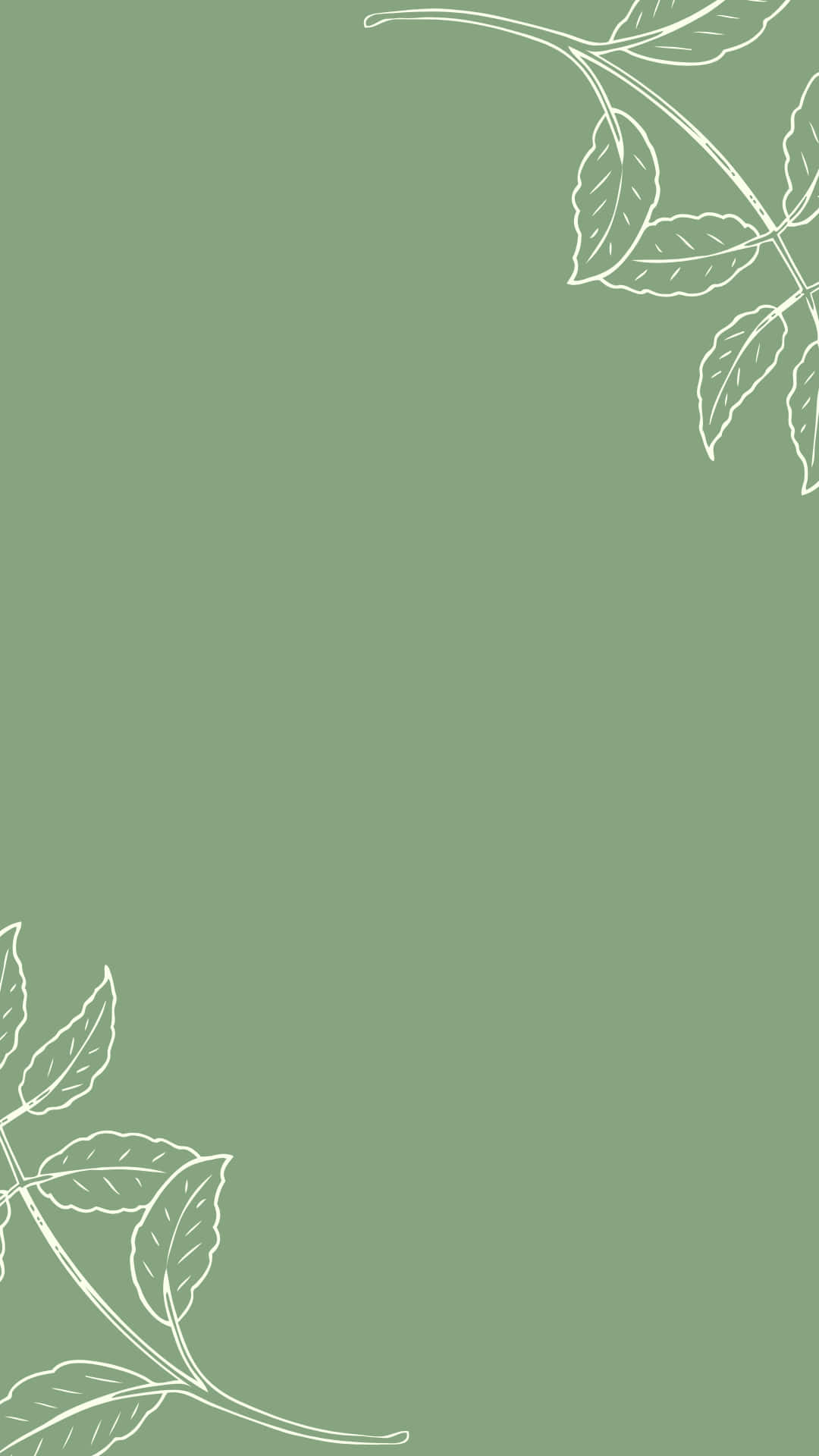 Fondo verde salvia minimalista para Instagram estético Fondos de pantalla