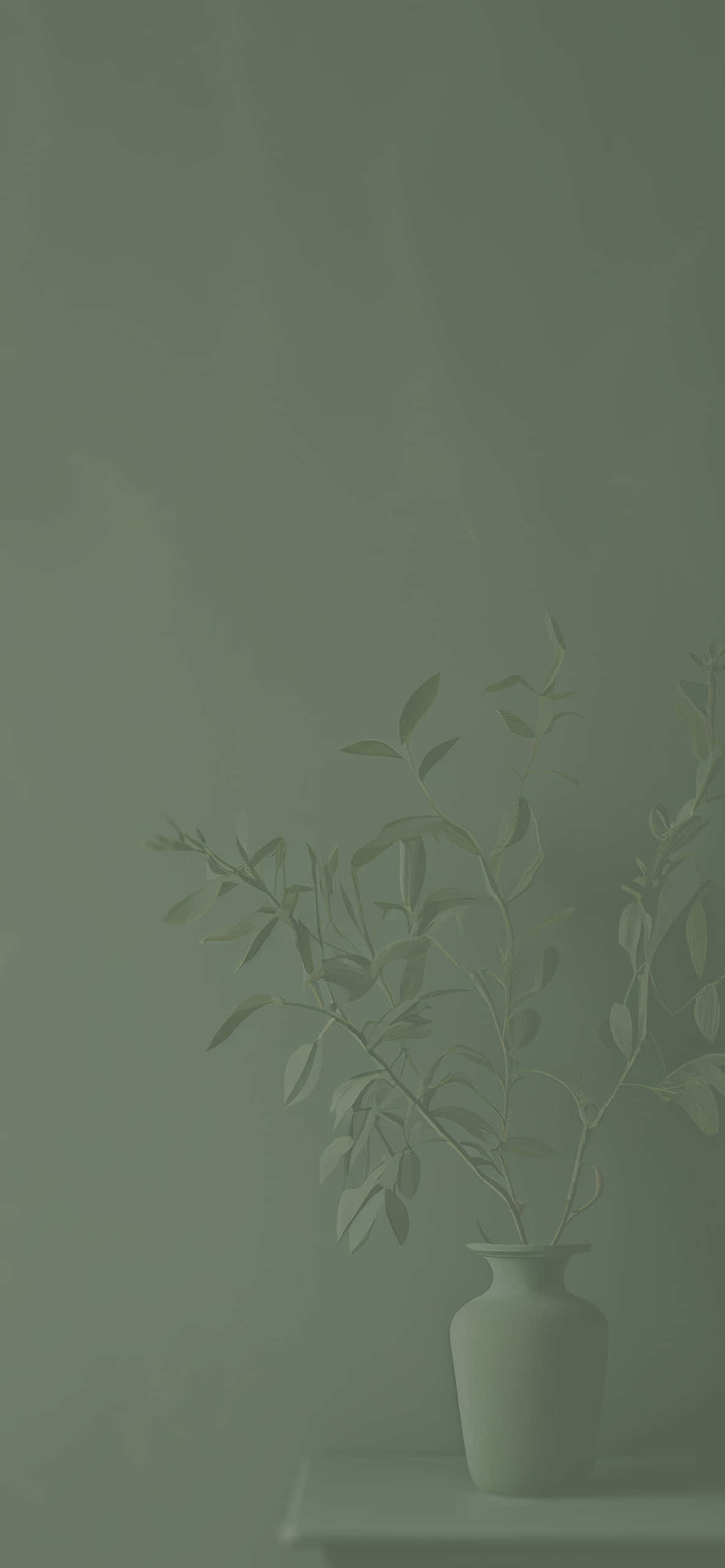 Fondo Verde Salvia de Serenidad Suave Fondos de pantalla