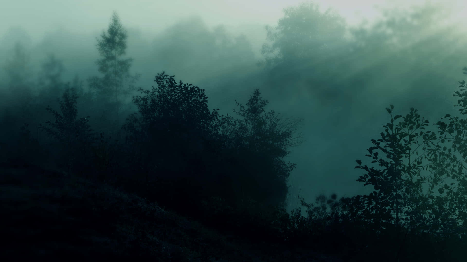 fondos de pantalla de niebla HD Fondos de pantalla