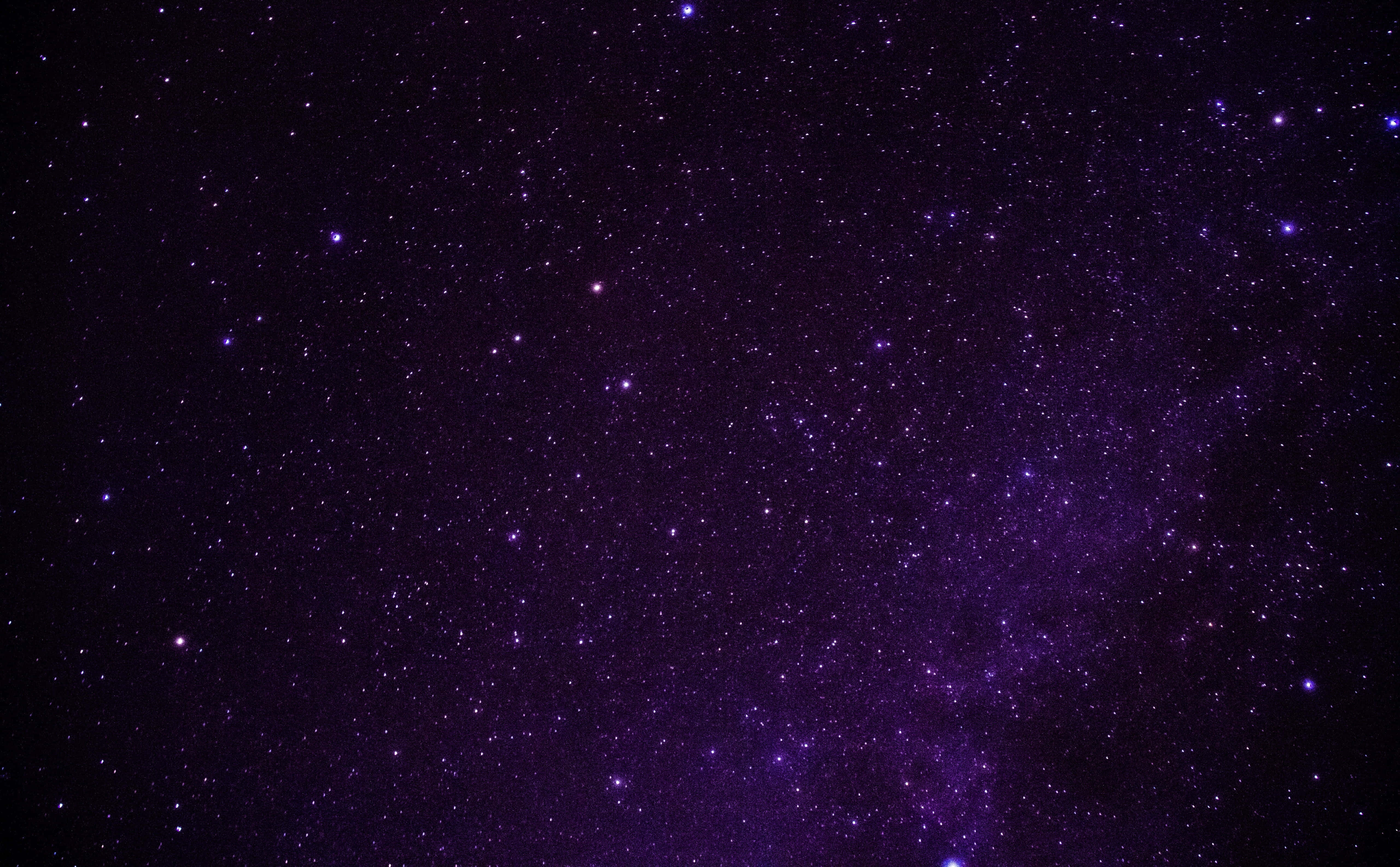 Fondos de pantalla estéticos de color púrpura oscuro Fondos de pantalla