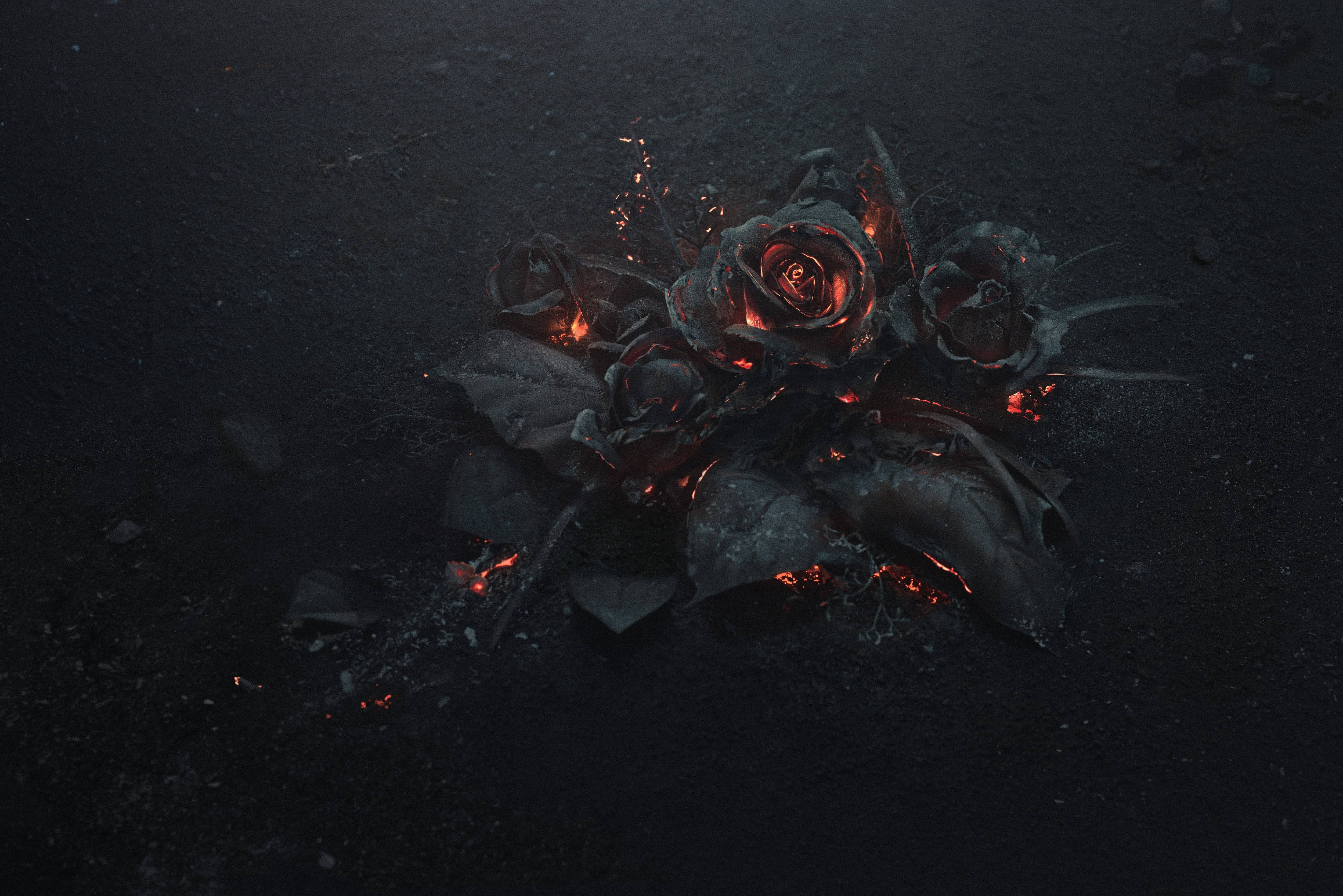 Fondos de Pantalla HD de Flores Ardientes Oscuras Fondos de pantalla