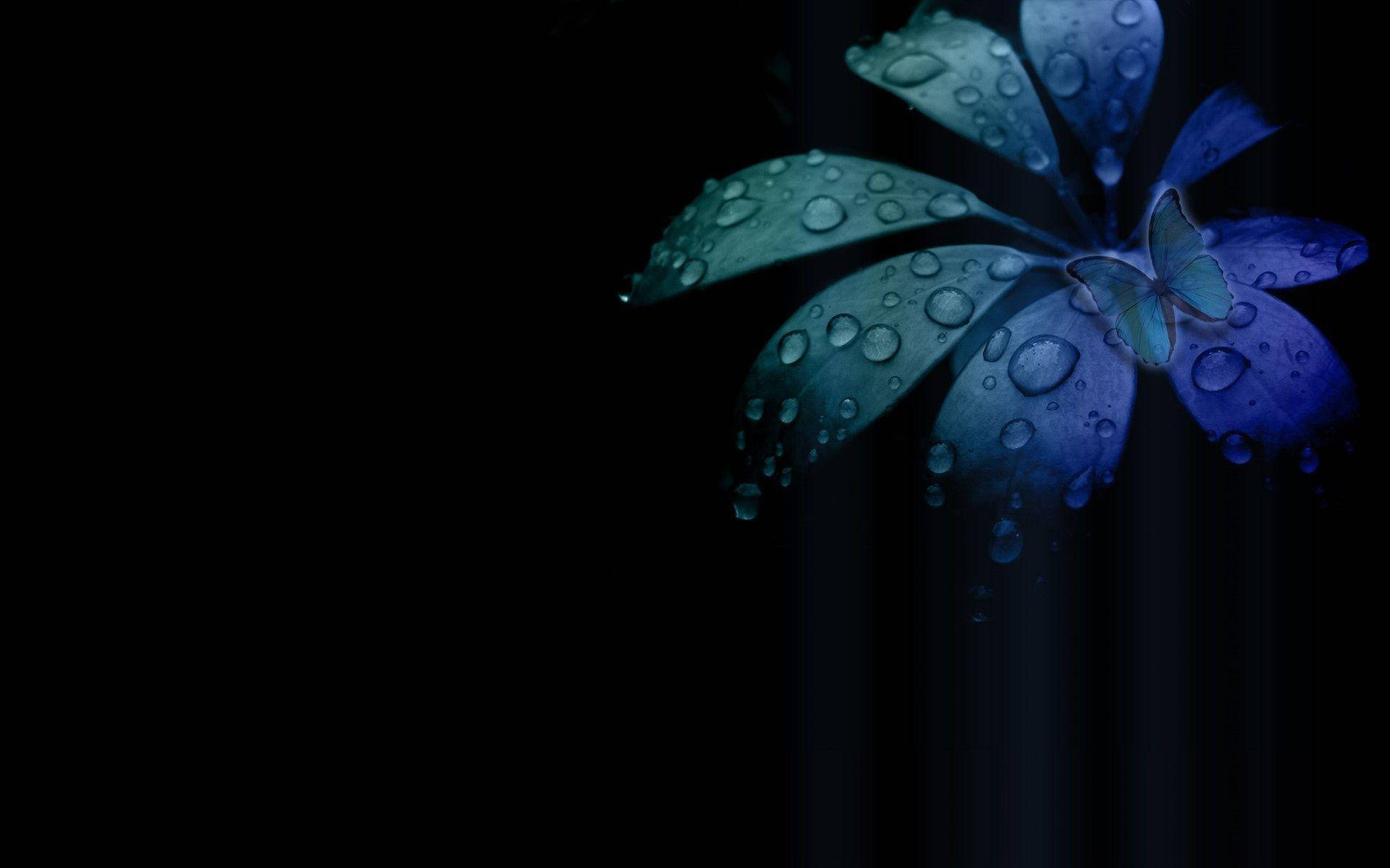 Fondos de pantalla HD de flores azul-verde oscuro Fondos de pantalla