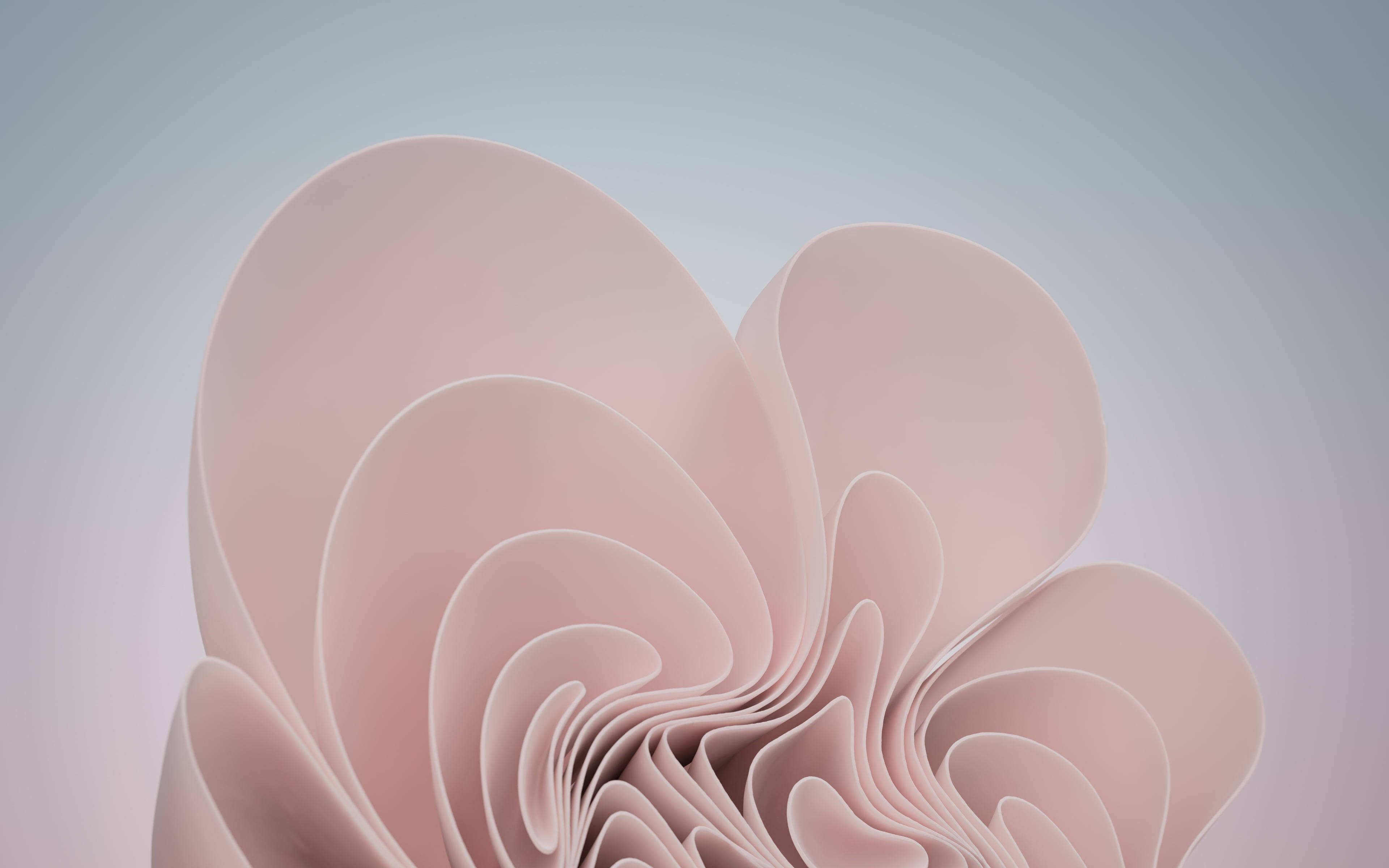 Fondos de Suaves Remolinos Rosas Fondos de pantalla