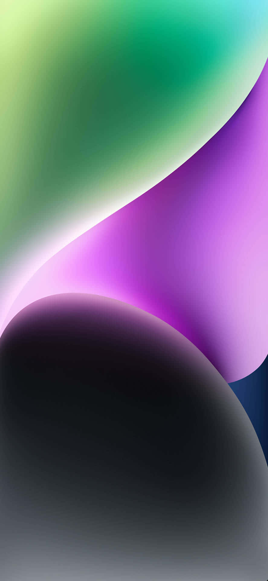 Forma Ovalada Negra Fondos de pantalla