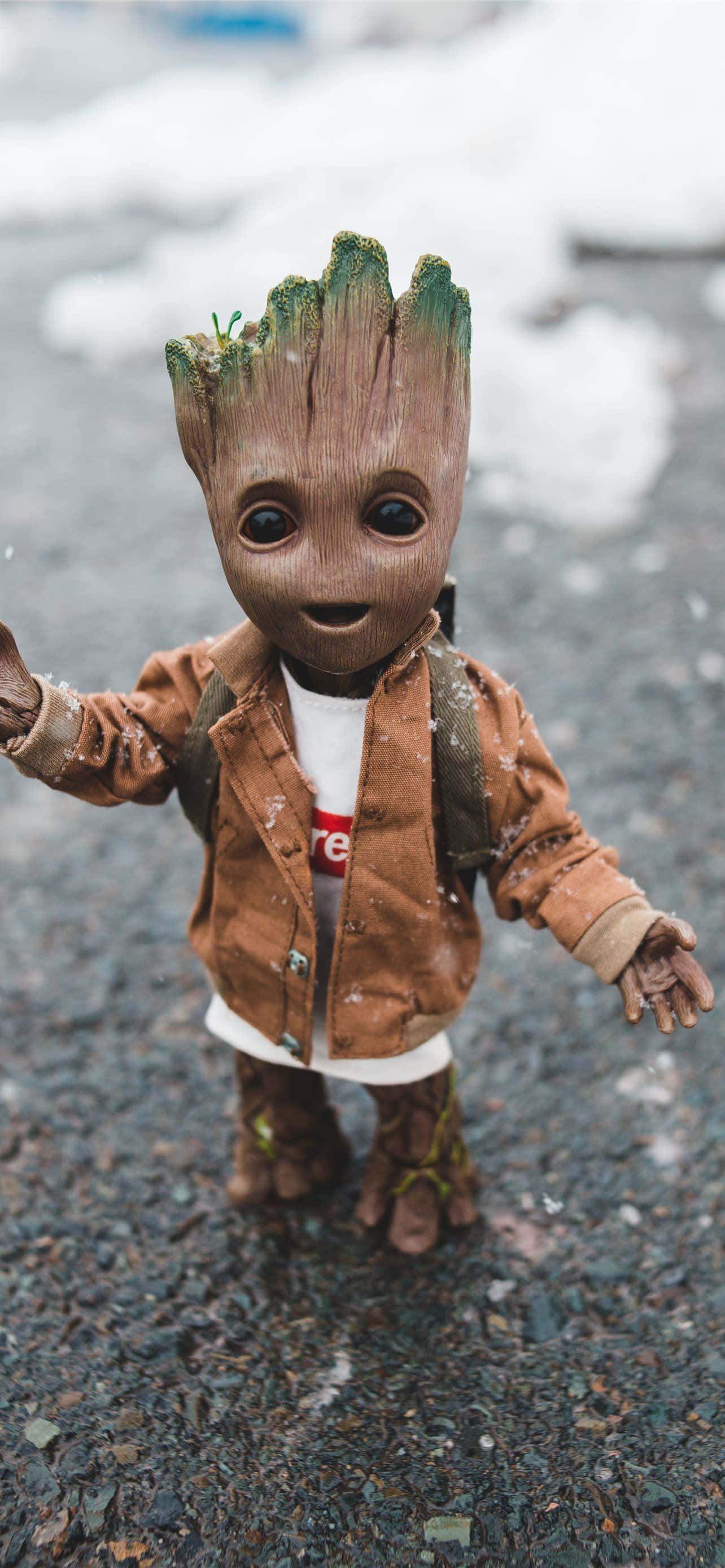 Foto de perfil de Baby Groot Fondos de pantalla