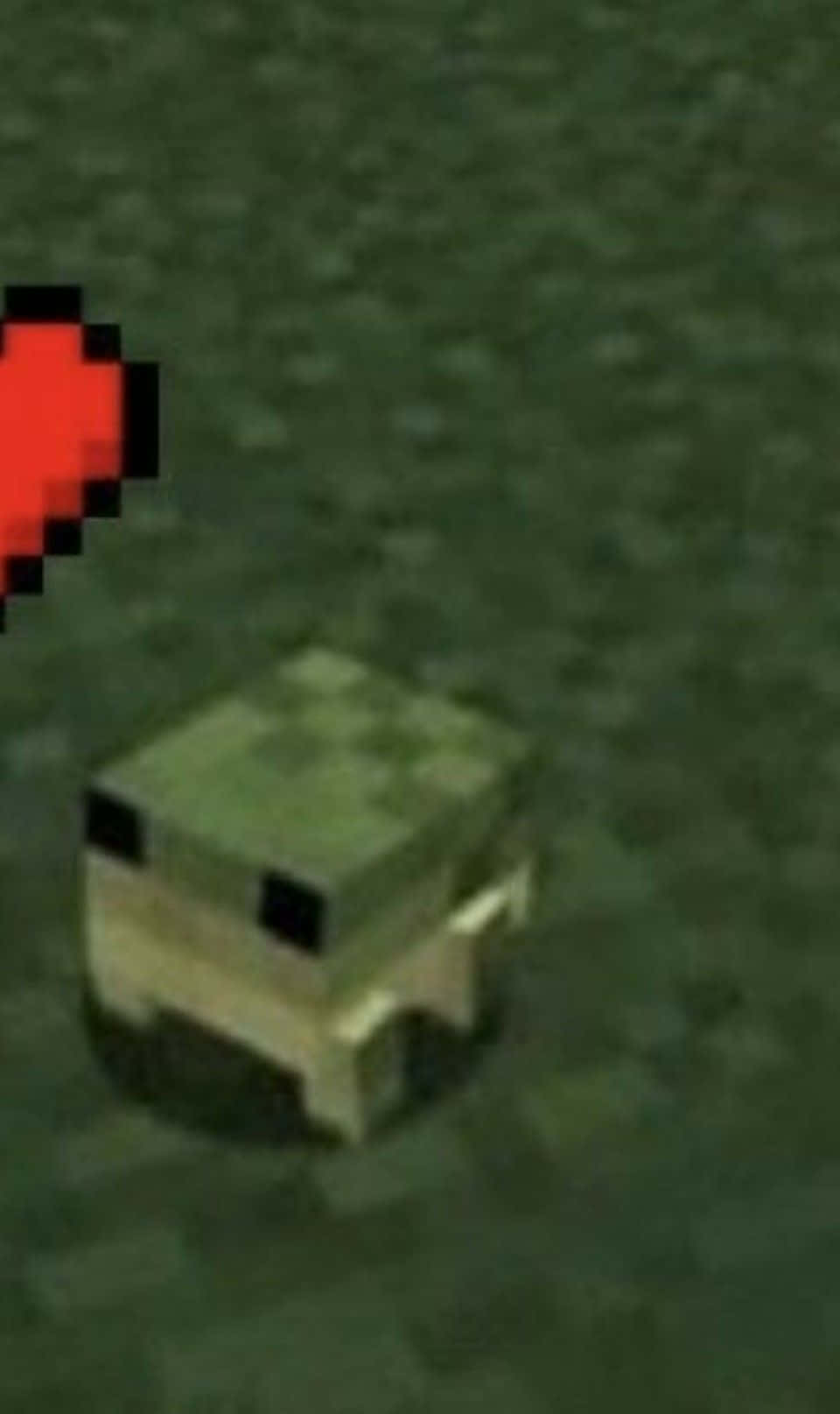 Foto de perfil de rana linda de Minecraft Fondos de pantalla
