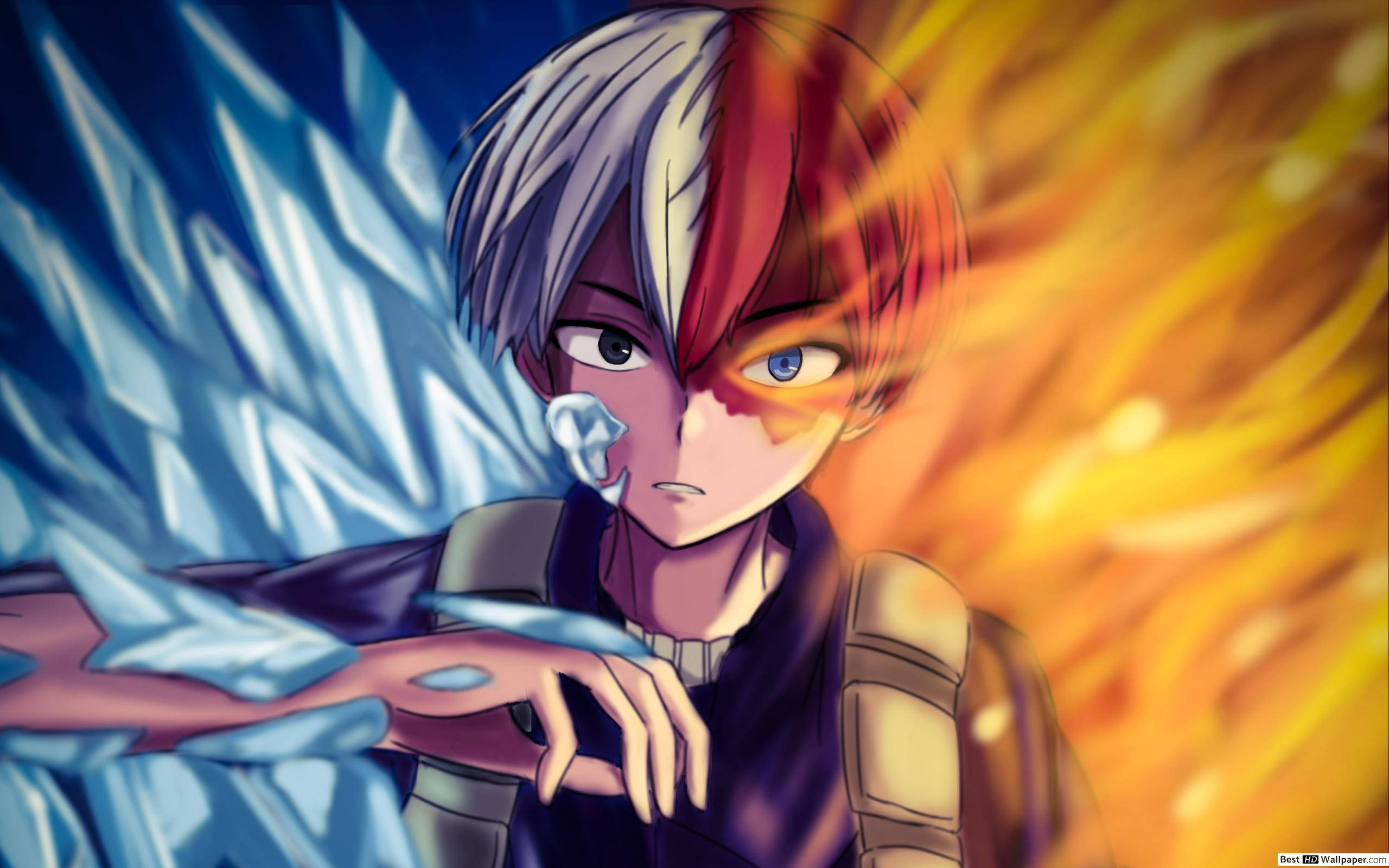 Foto de Primer Plano del Lindo Todoroki Fondos de pantalla