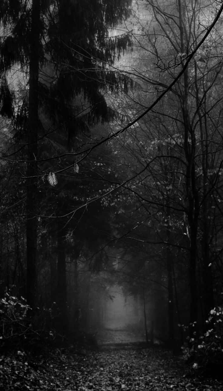 Foto Destacarse, No Encajar Fondos de pantalla