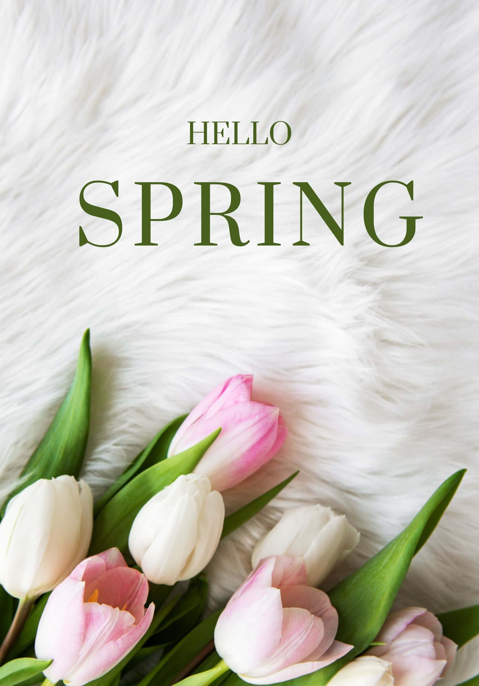 Foto "Disfruta los hermosos colores de la primavera." Fondos de pantalla