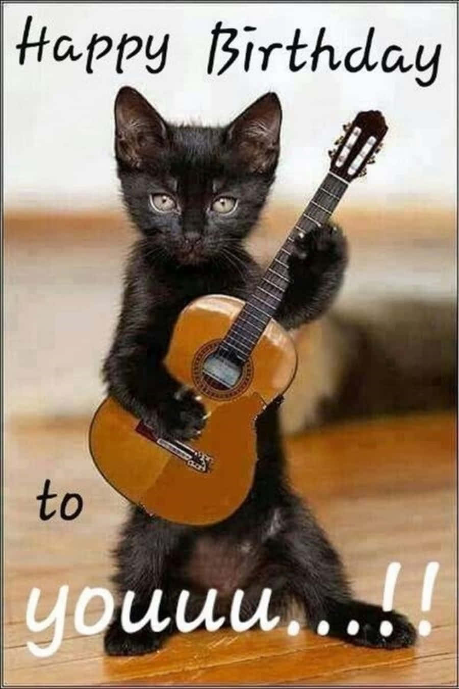 Foto divertida de gato negro de cumpleaños Fondos de pantalla