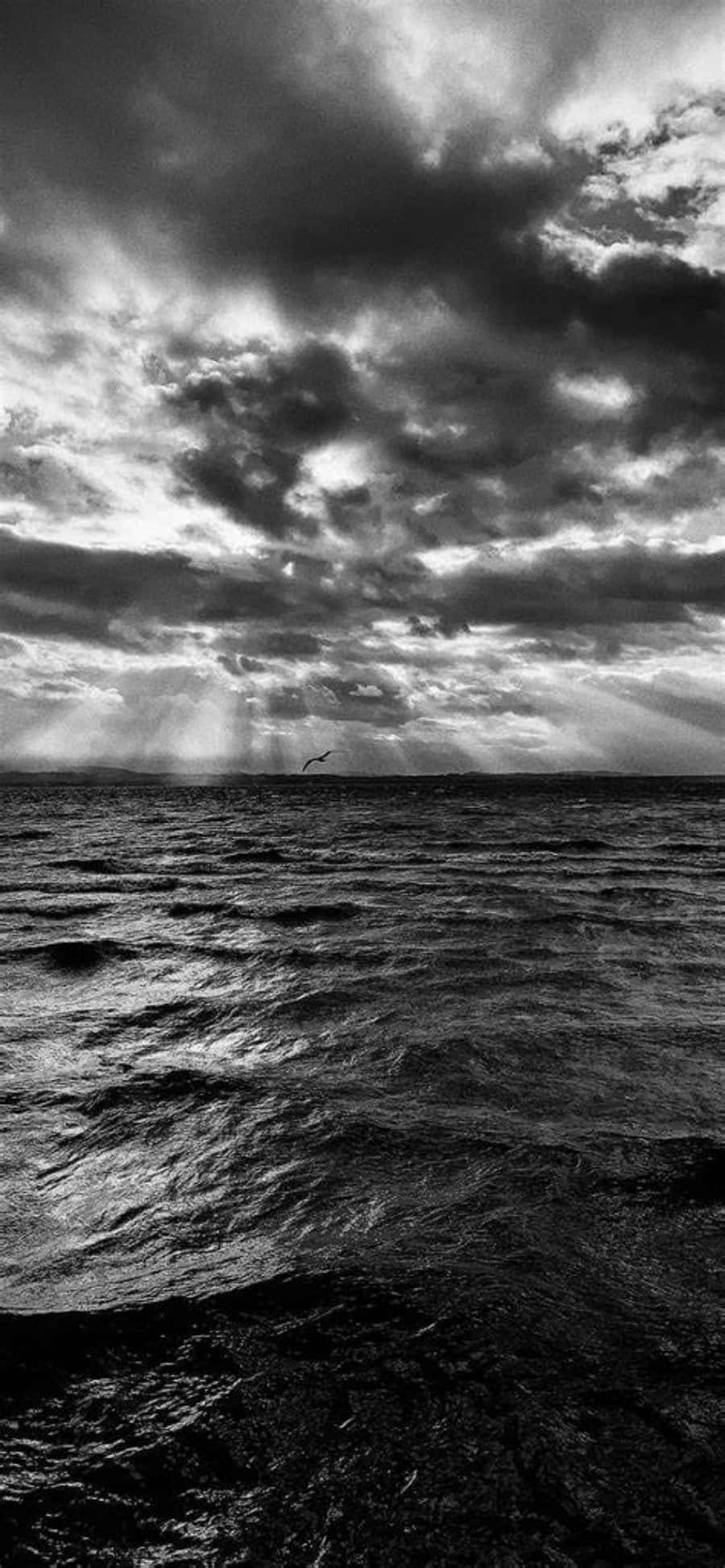 foto en blanco y negro de un cielo nublado sobre el océano Fondos de pantalla