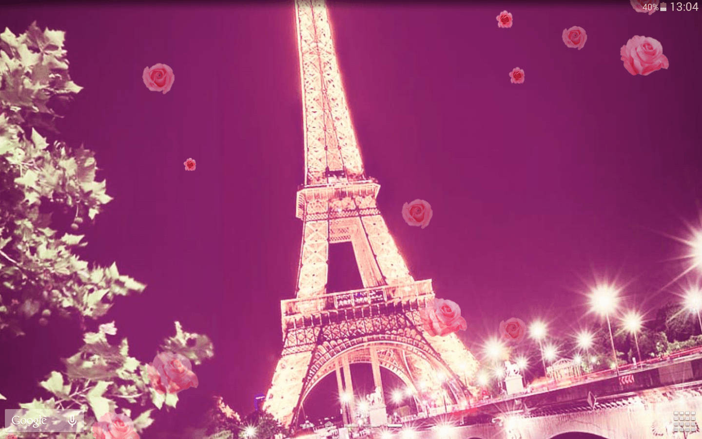 Foto Rosa de París en Ángulo Fondos de pantalla
