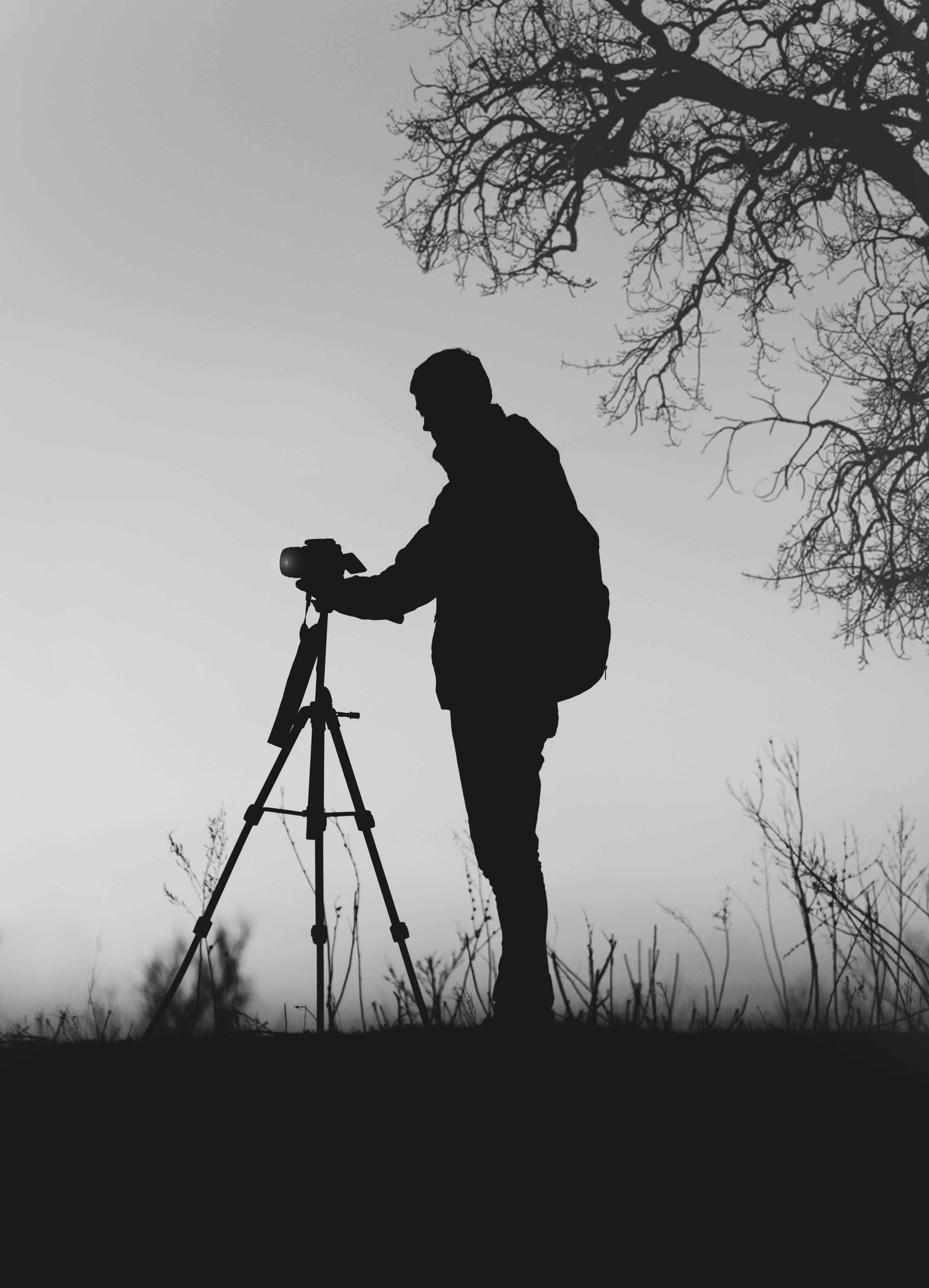 Fotografía en escala de grises de silueta Fondos de pantalla