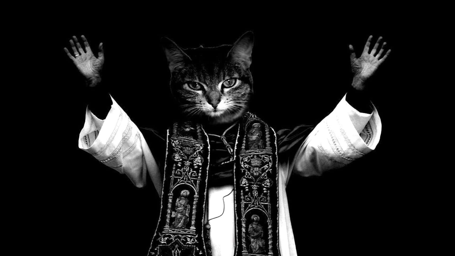 Fotos de Gato Lindo y Gracioso como Santo Sacerdote Levantando las Manos Fondos de pantalla