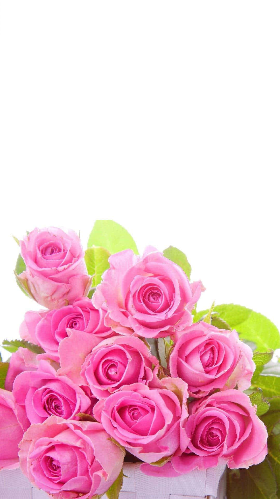 Fotos de ramo de rosas para iPhone Fondos de pantalla