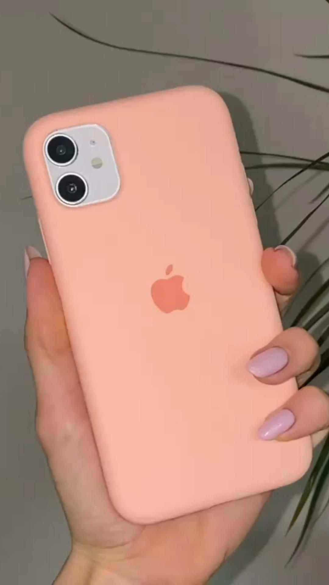 fotos del iPhone 12 Fondos de pantalla