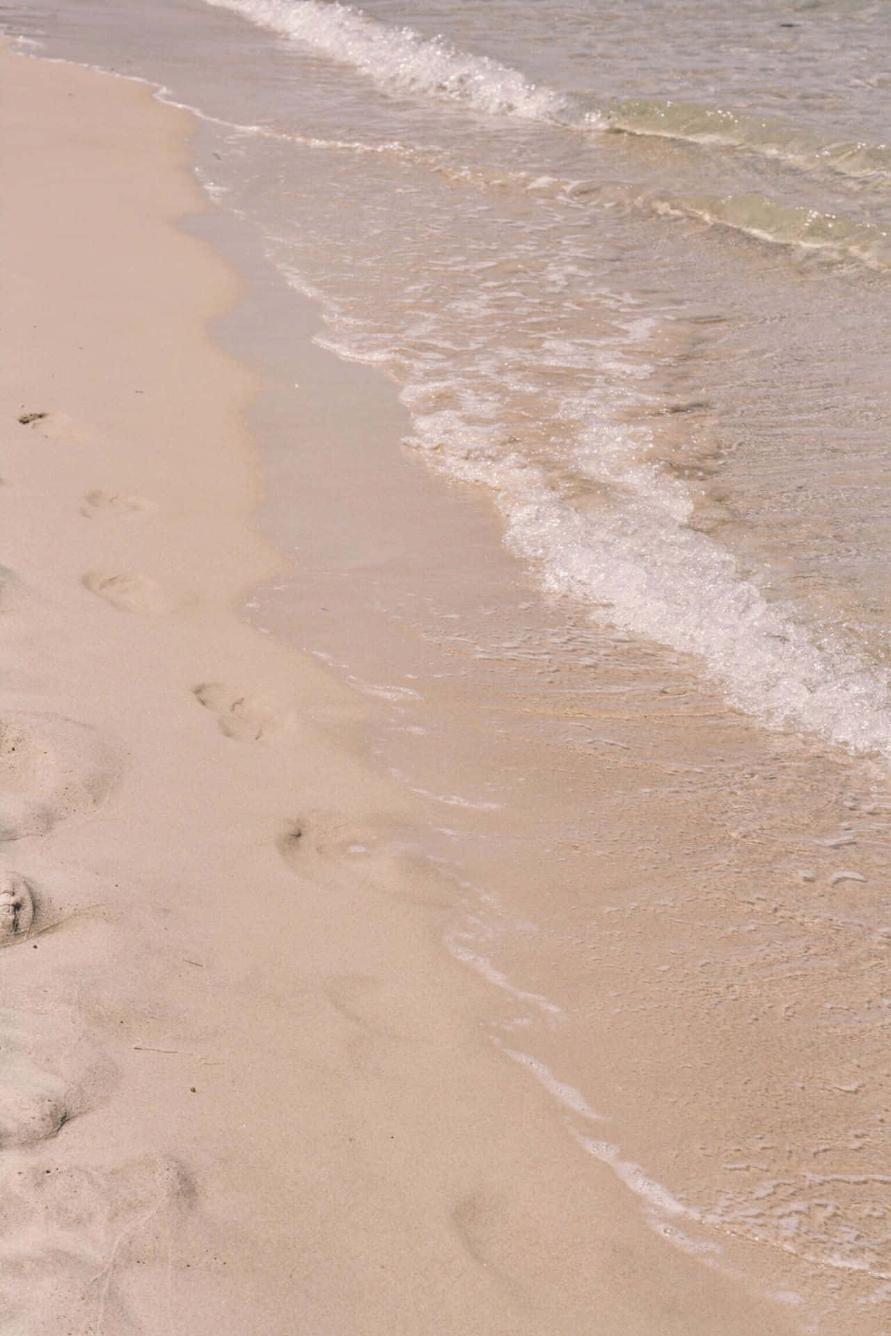 Fotos estéticas marrón claro Fondos de pantalla