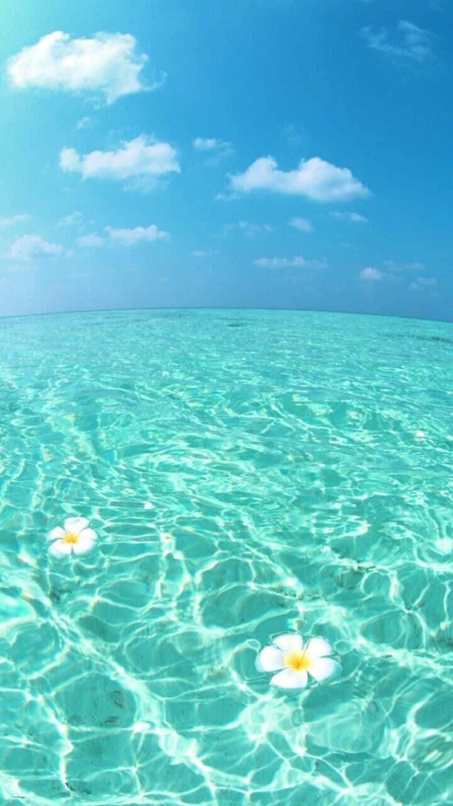 Frescas aguas turquesa del mar en verano Fondos de pantalla