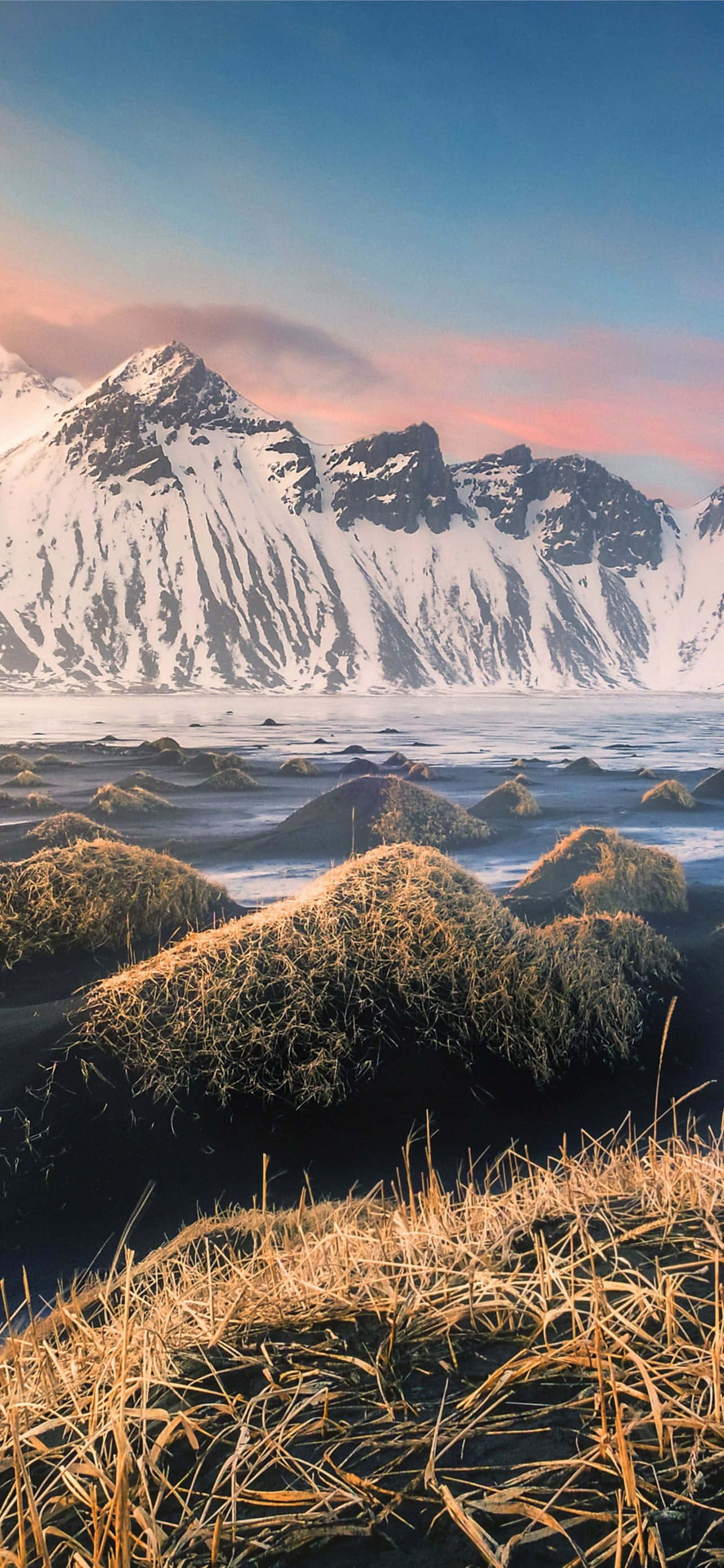 Frondoso y verde, el regalo de la naturaleza en flor Fondos de pantalla