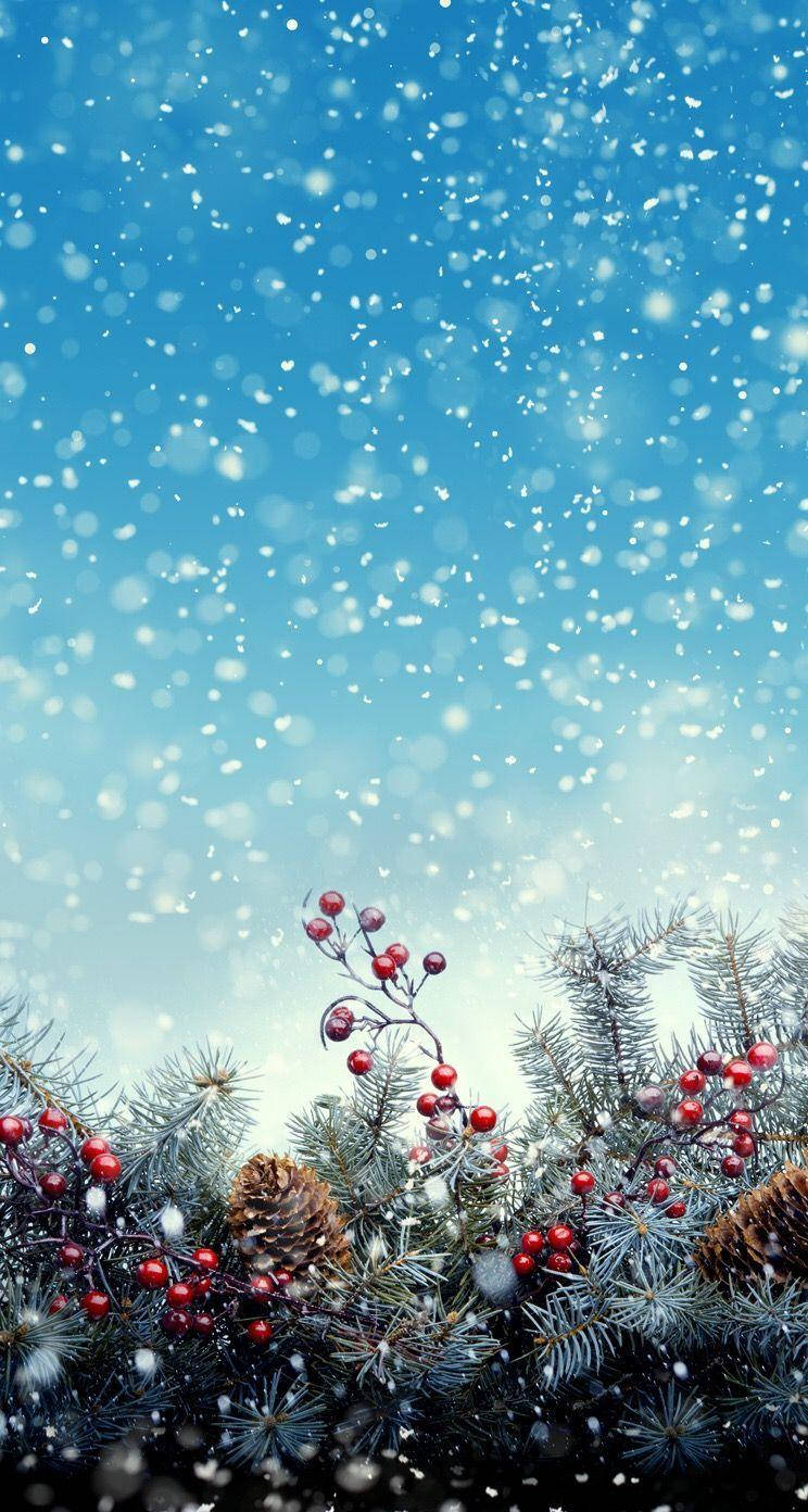 Frutas Navideñas de Invierno para Teléfono Fondos de pantalla