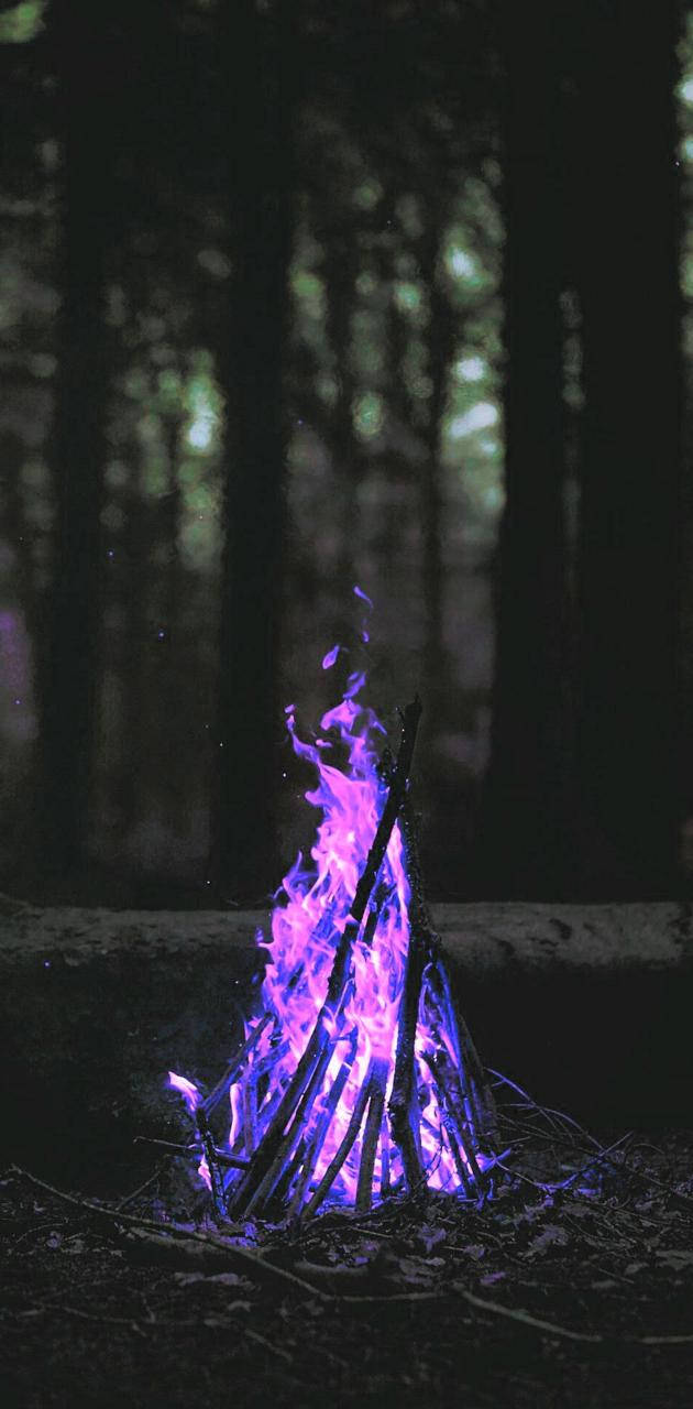 Fuego Púrpura Radiante Encendiendo la Oscuridad Fondos de pantalla