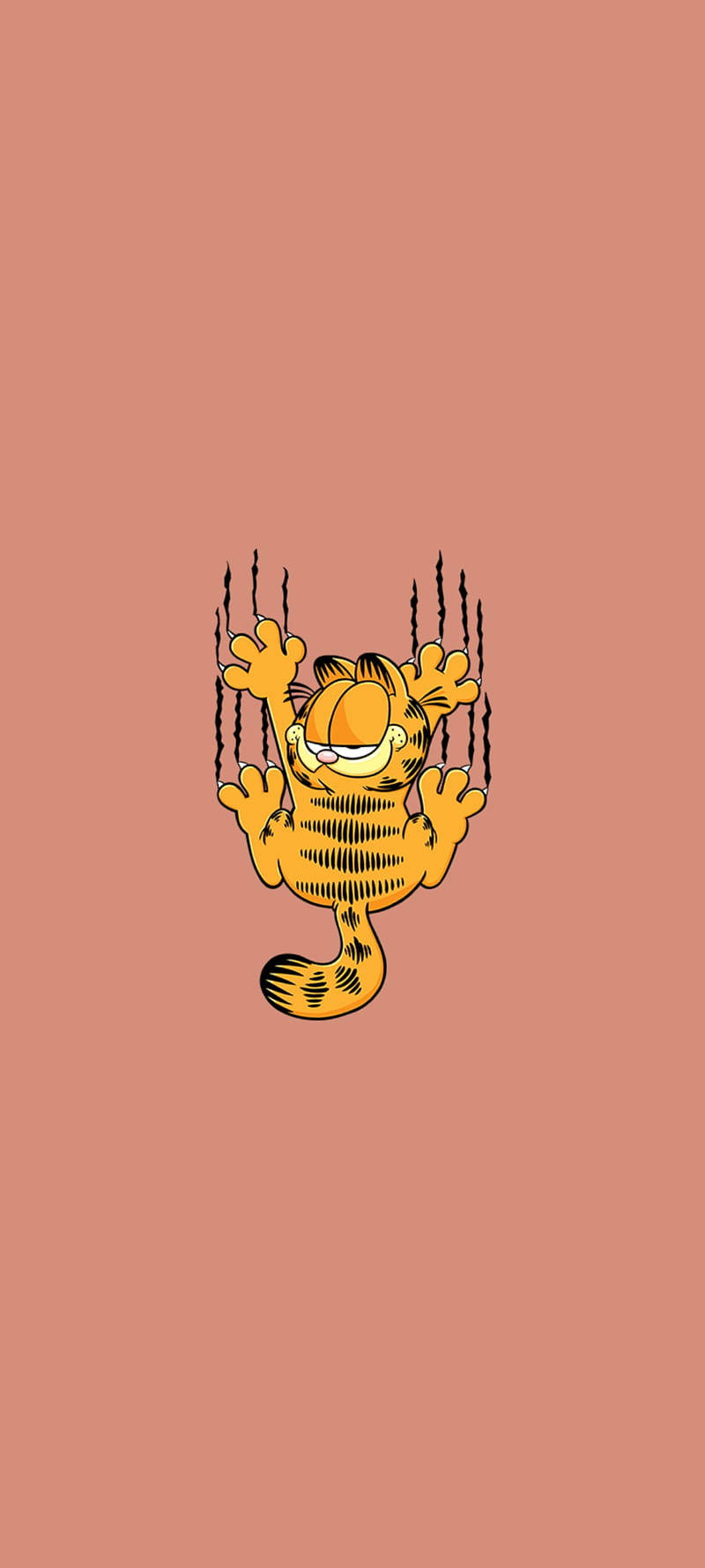 Garfield Desgarrando el Fondo de Pantalla Fondos de pantalla