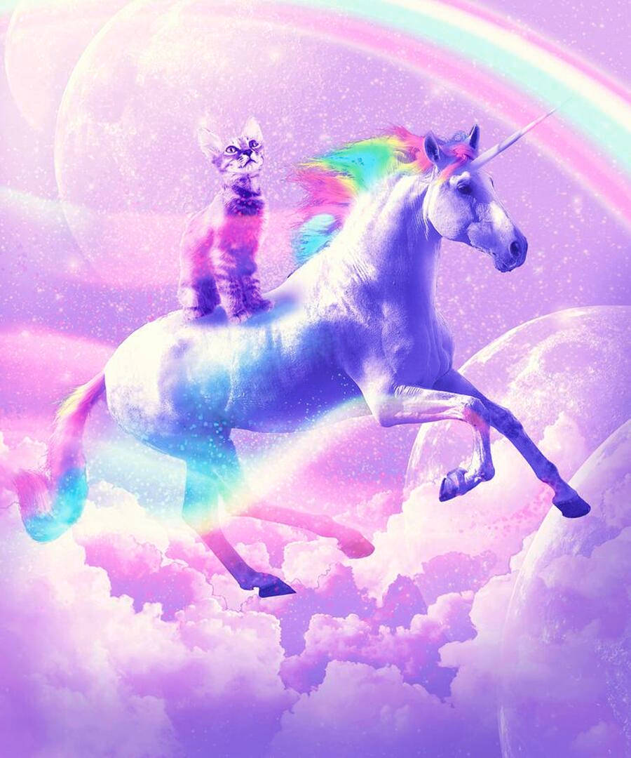 Gatito Estético Montando Unicornio Galáctico Fondos de pantalla